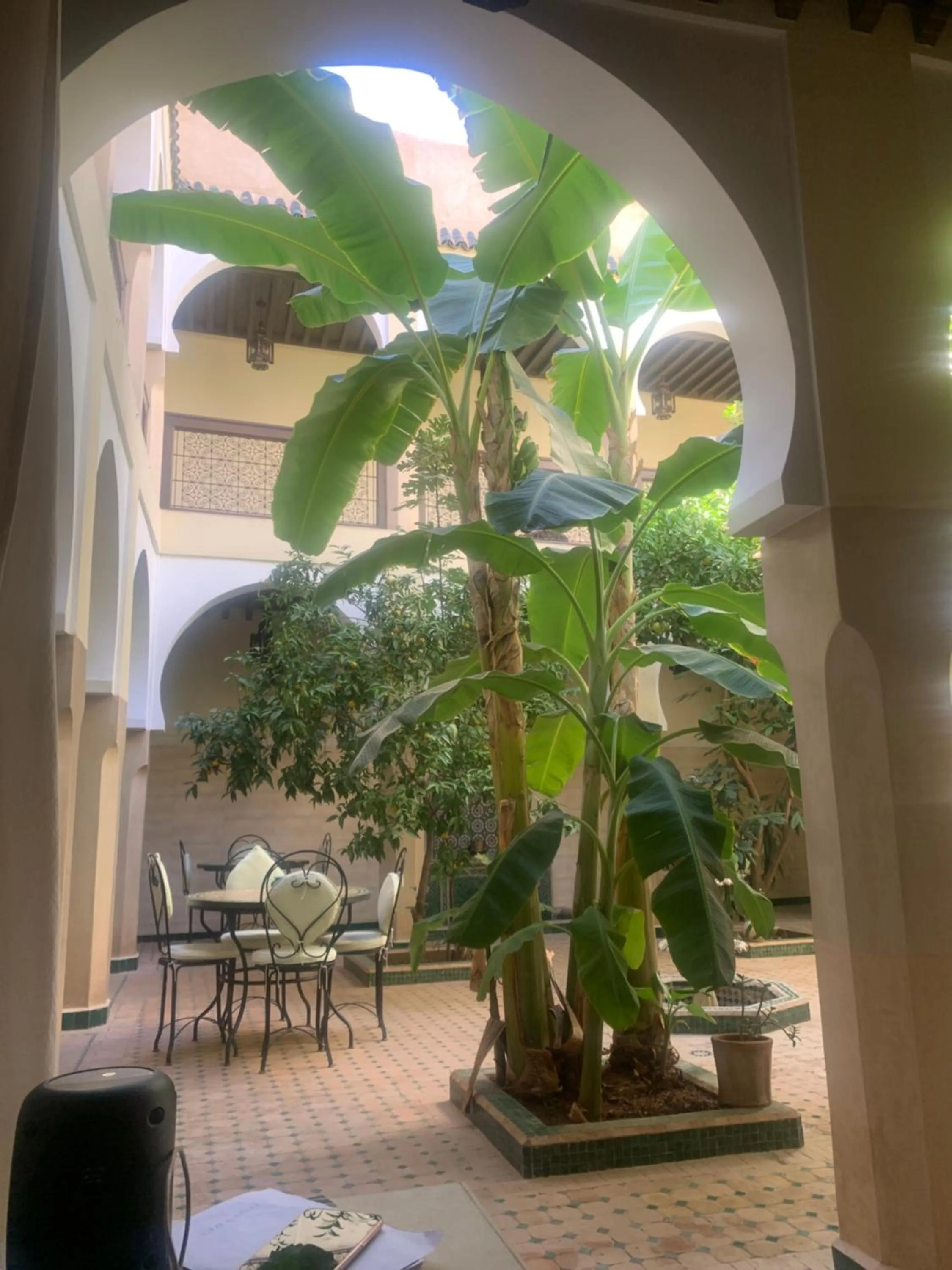 Riad Tidar by Phoenix