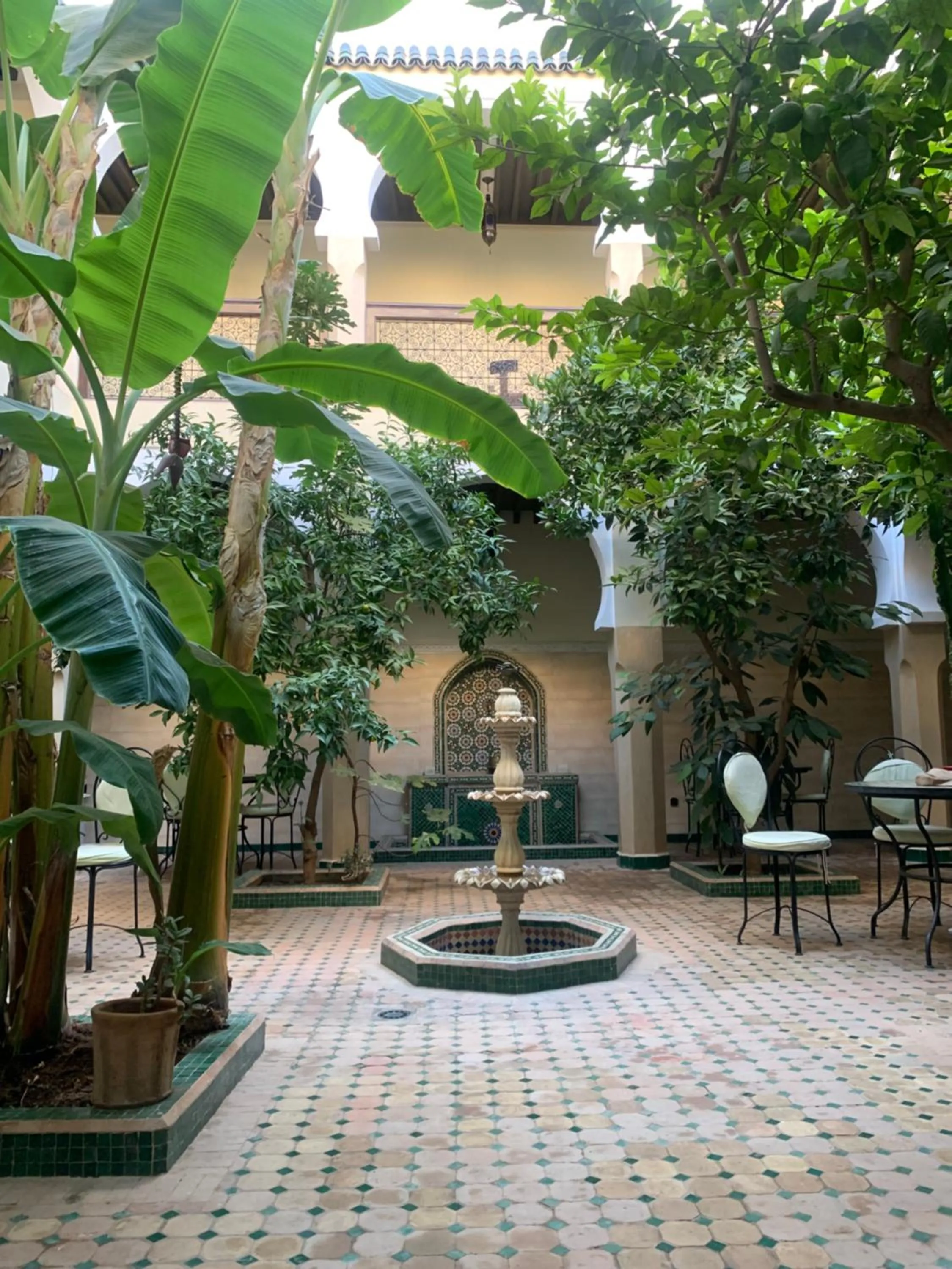 Riad Tidar by Phoenix