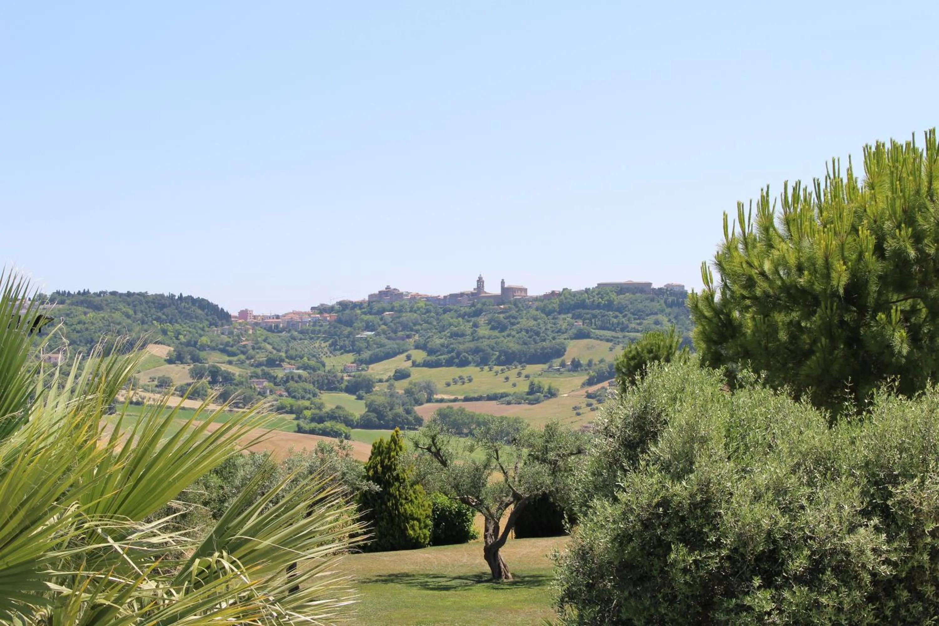 Natural landscape in Villa Belvedere Degli Ulivi