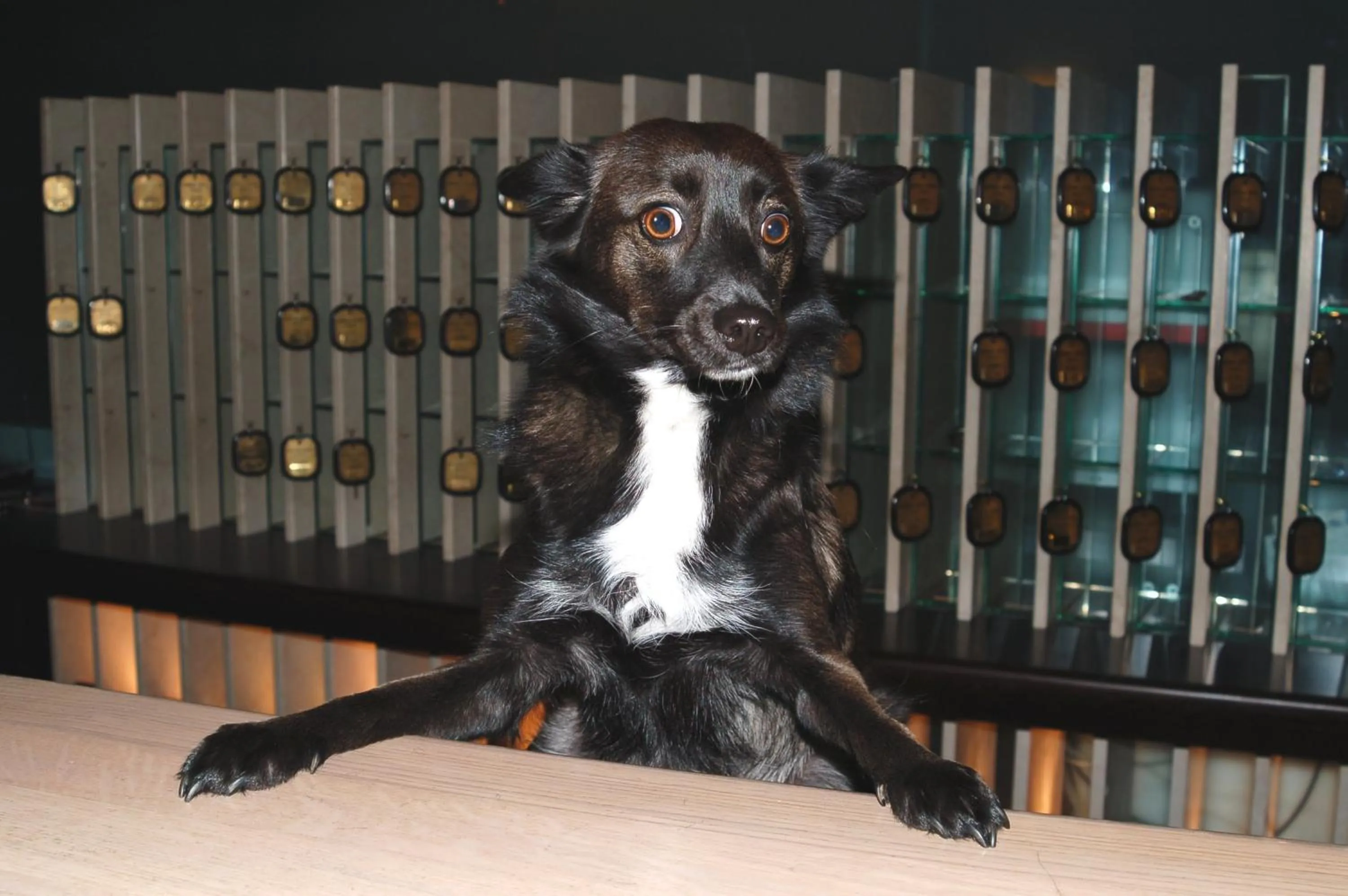 Lobby or reception in Astoria Hotel Italia