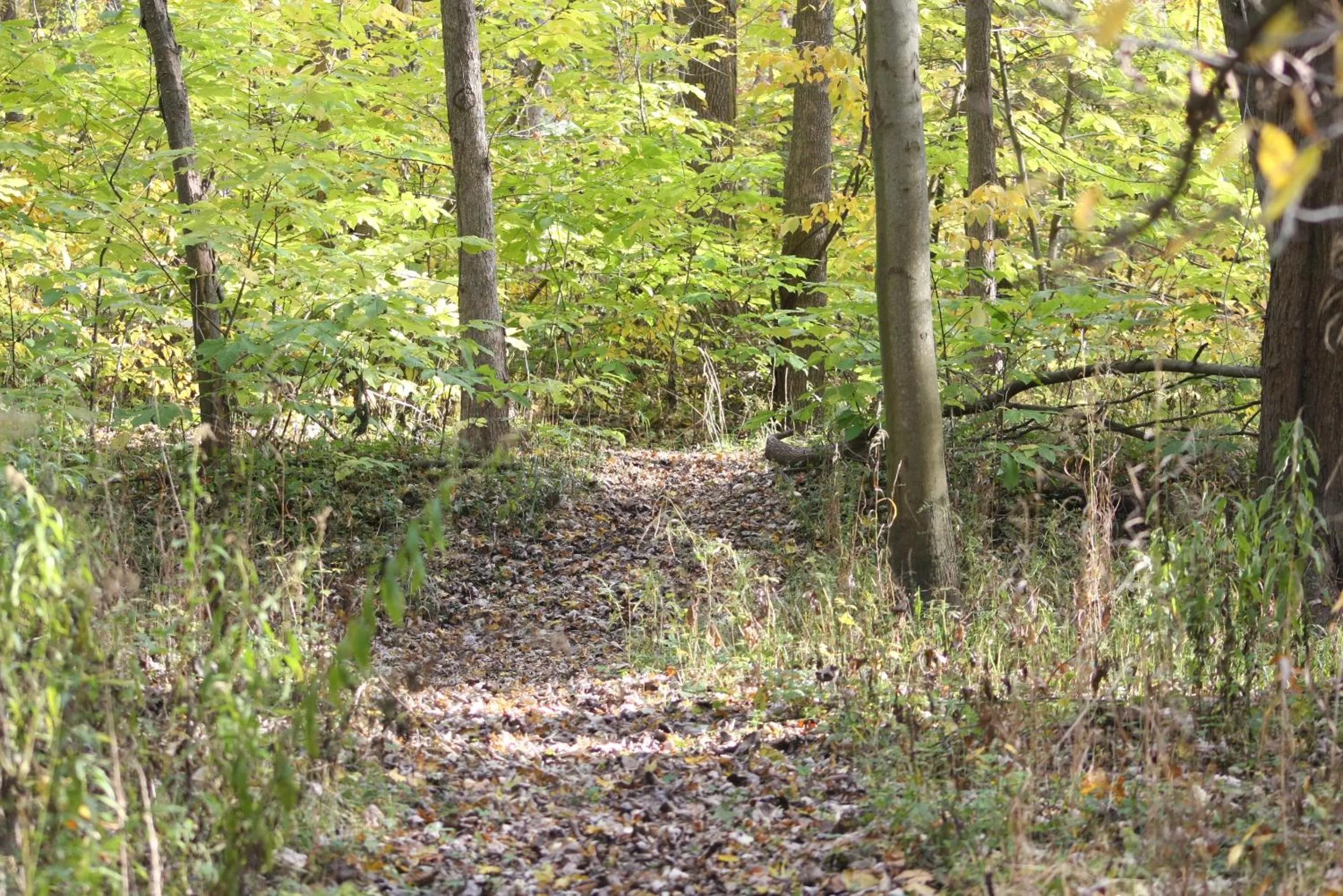 Goldberry Woods- A Modern Farm Resort