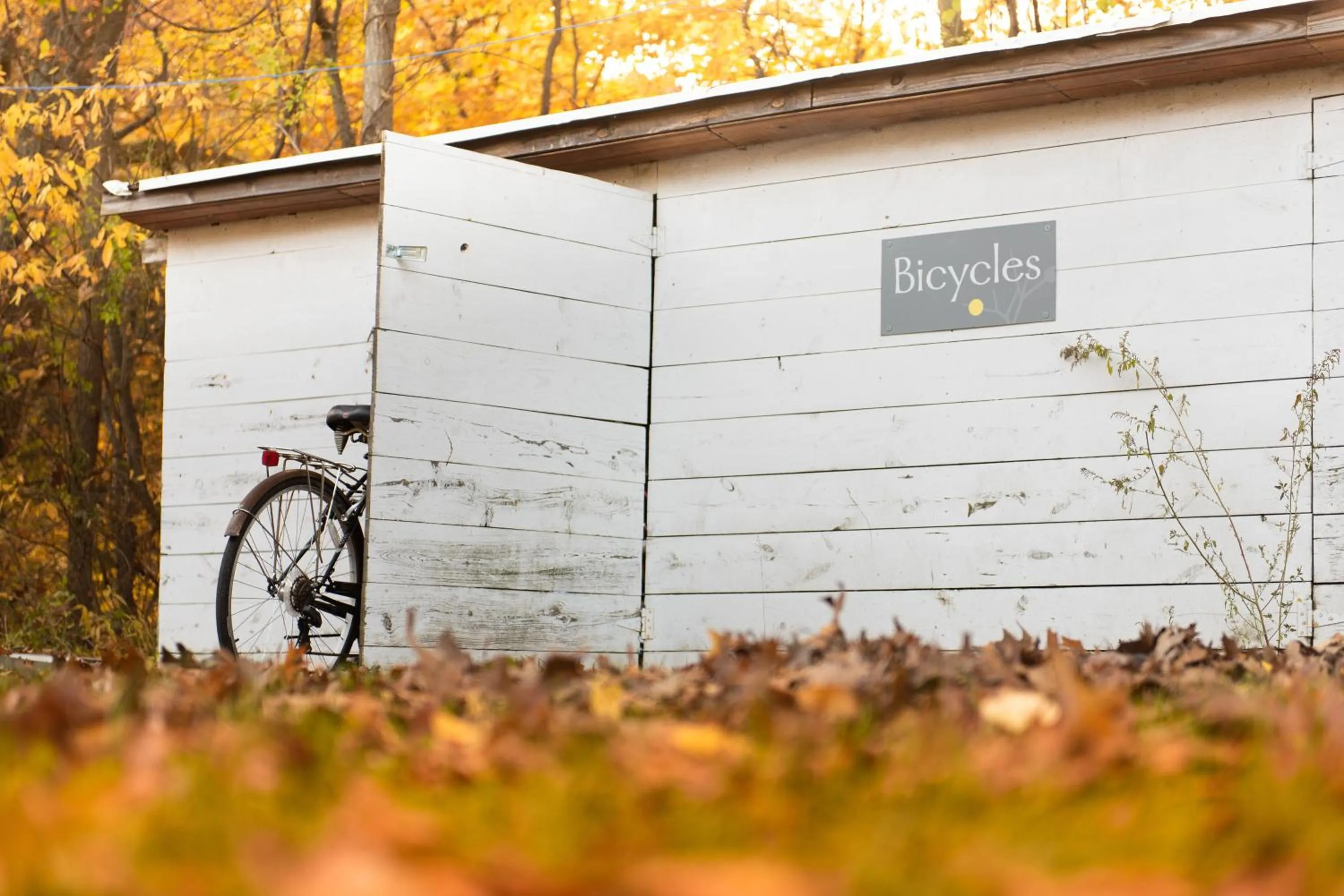 Goldberry Woods- A Modern Farm Resort