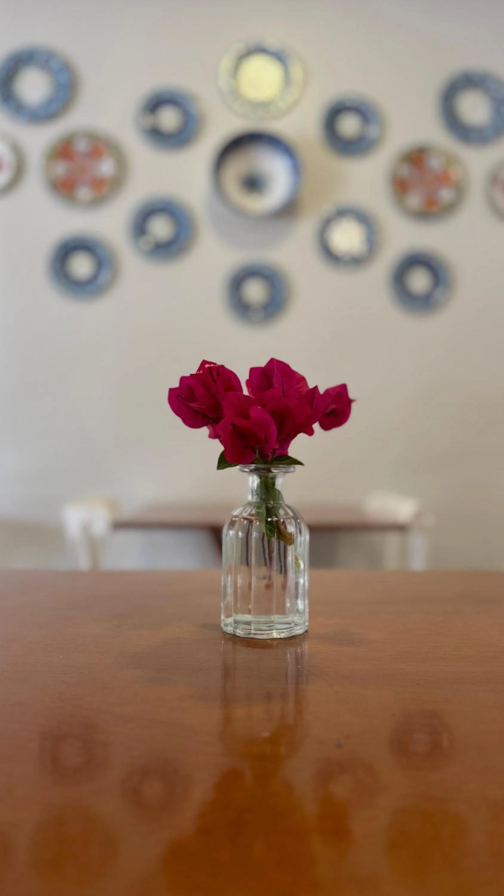 Restaurant/places to eat in Pousada Alto da Vila Noronha by Alto da Ilha