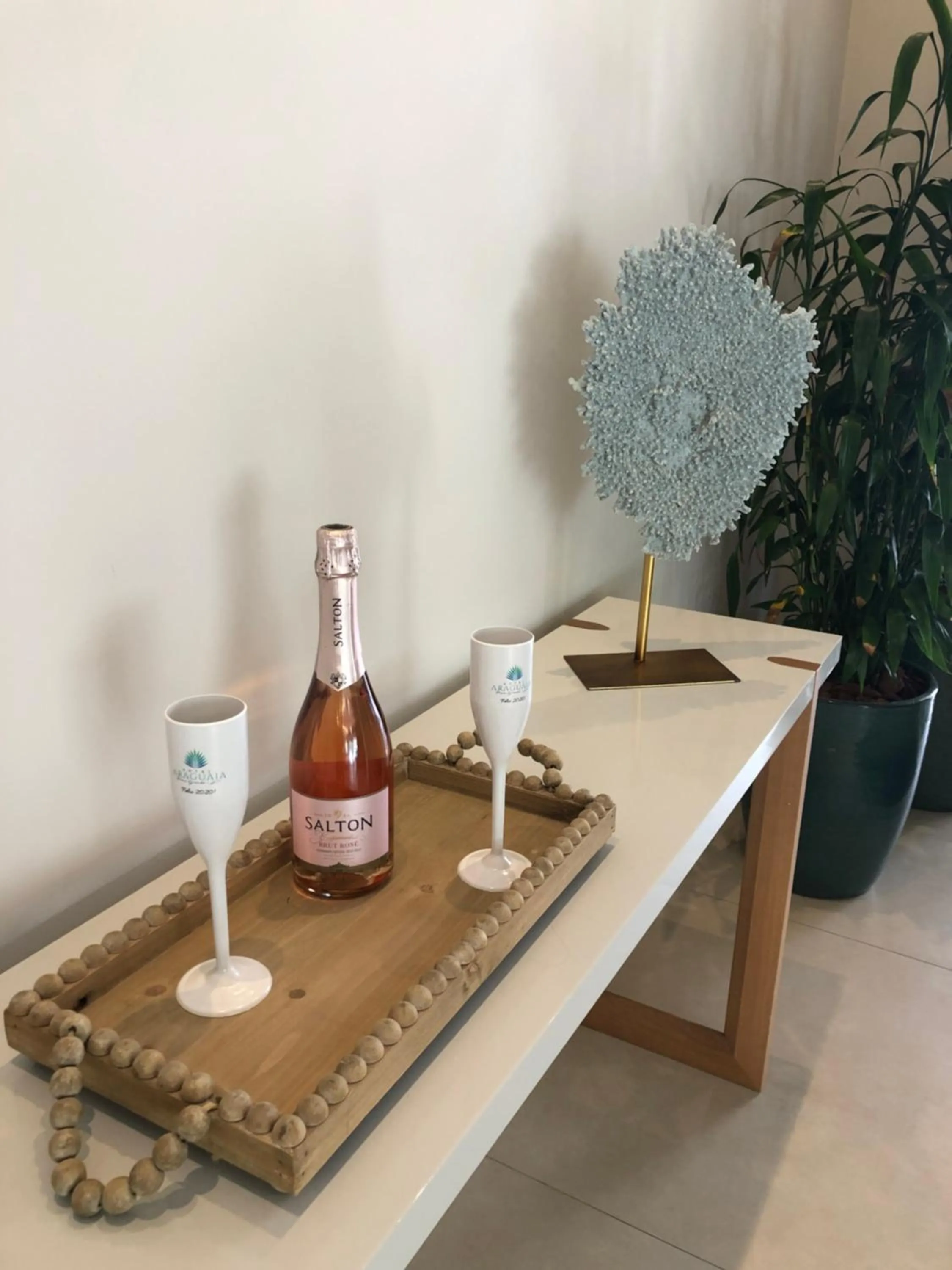 Drinks in Hotel Araguaia