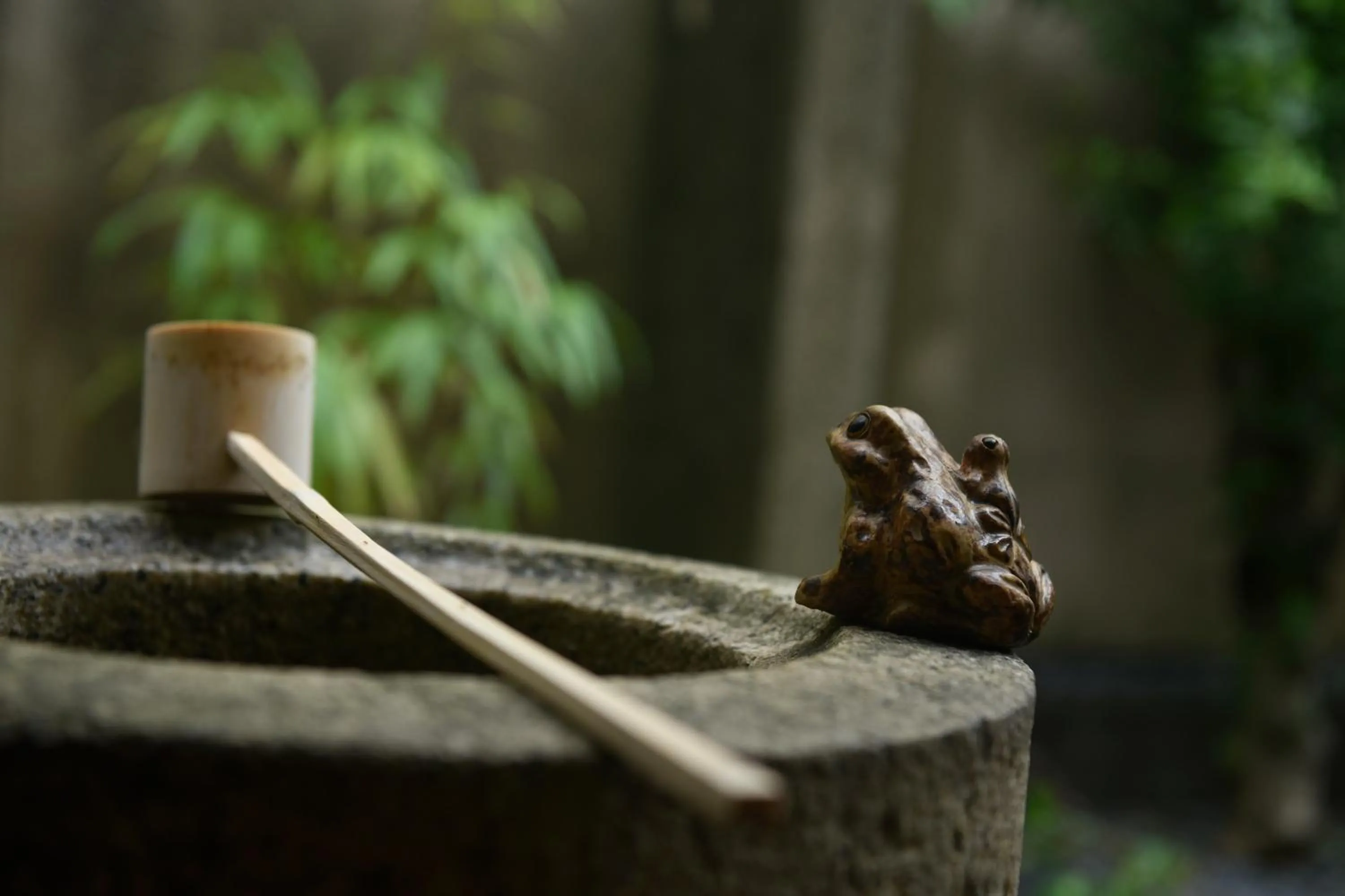 Garden in Kuraya Senbonsanjo