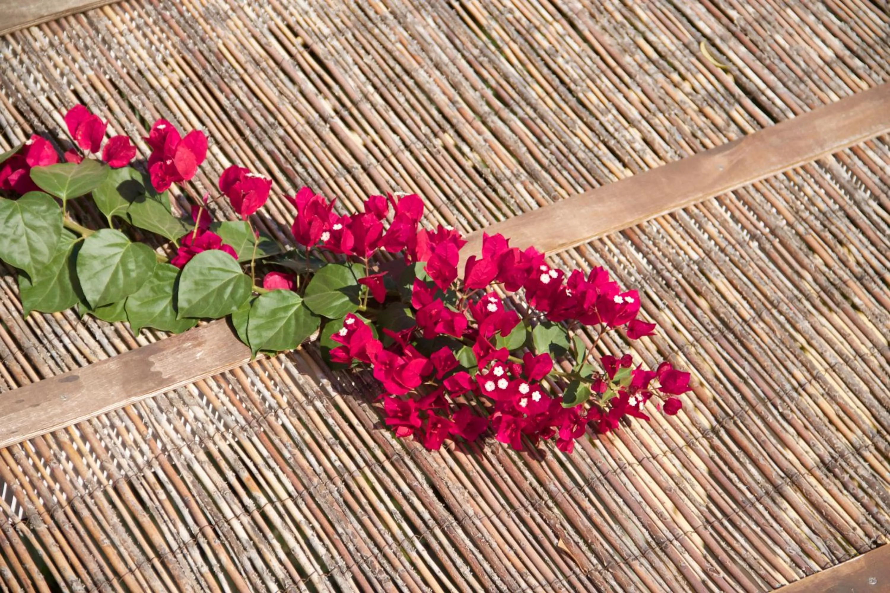 Decorative detail in Nomads House