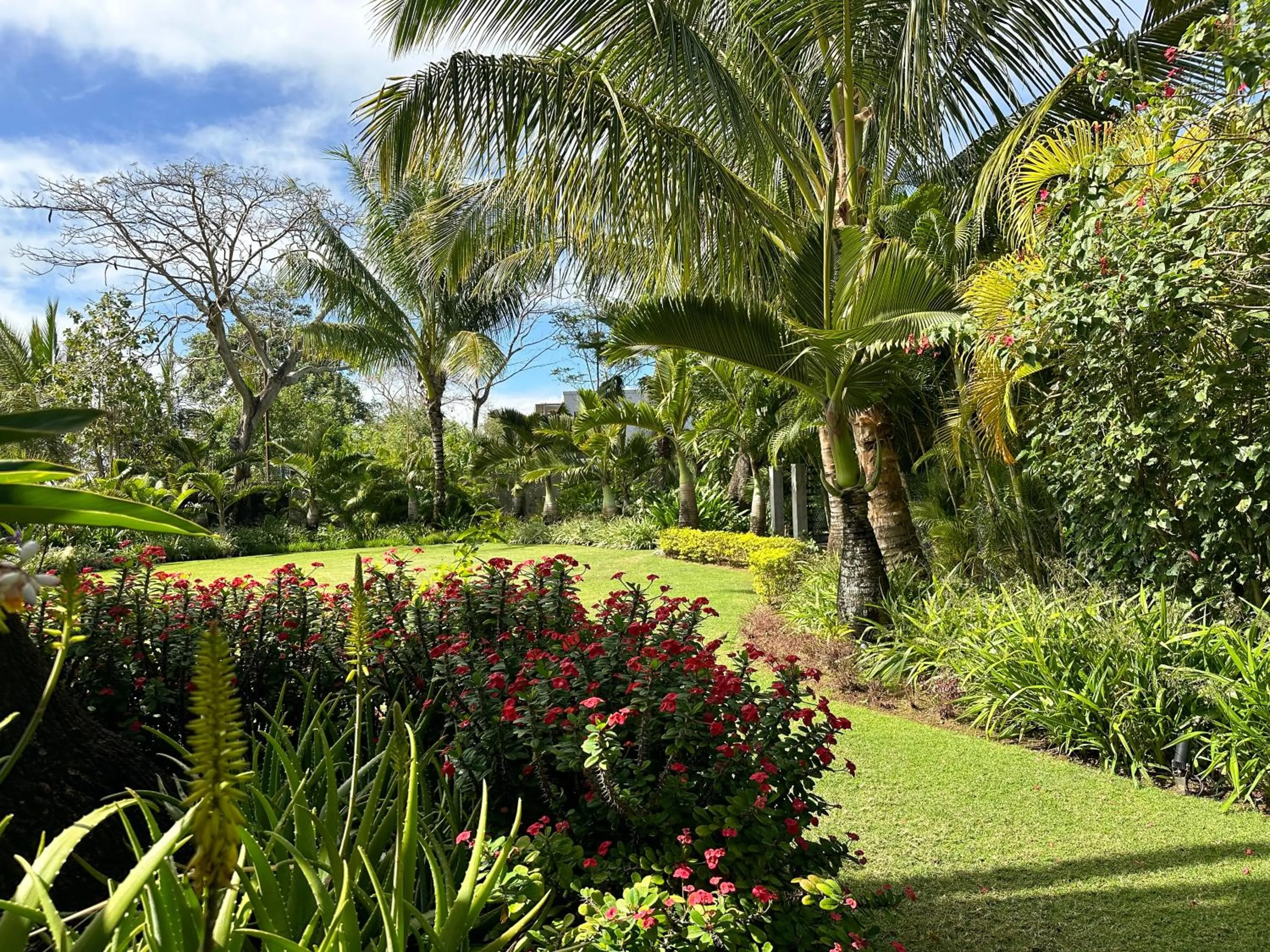 Garden view in Blue Bird