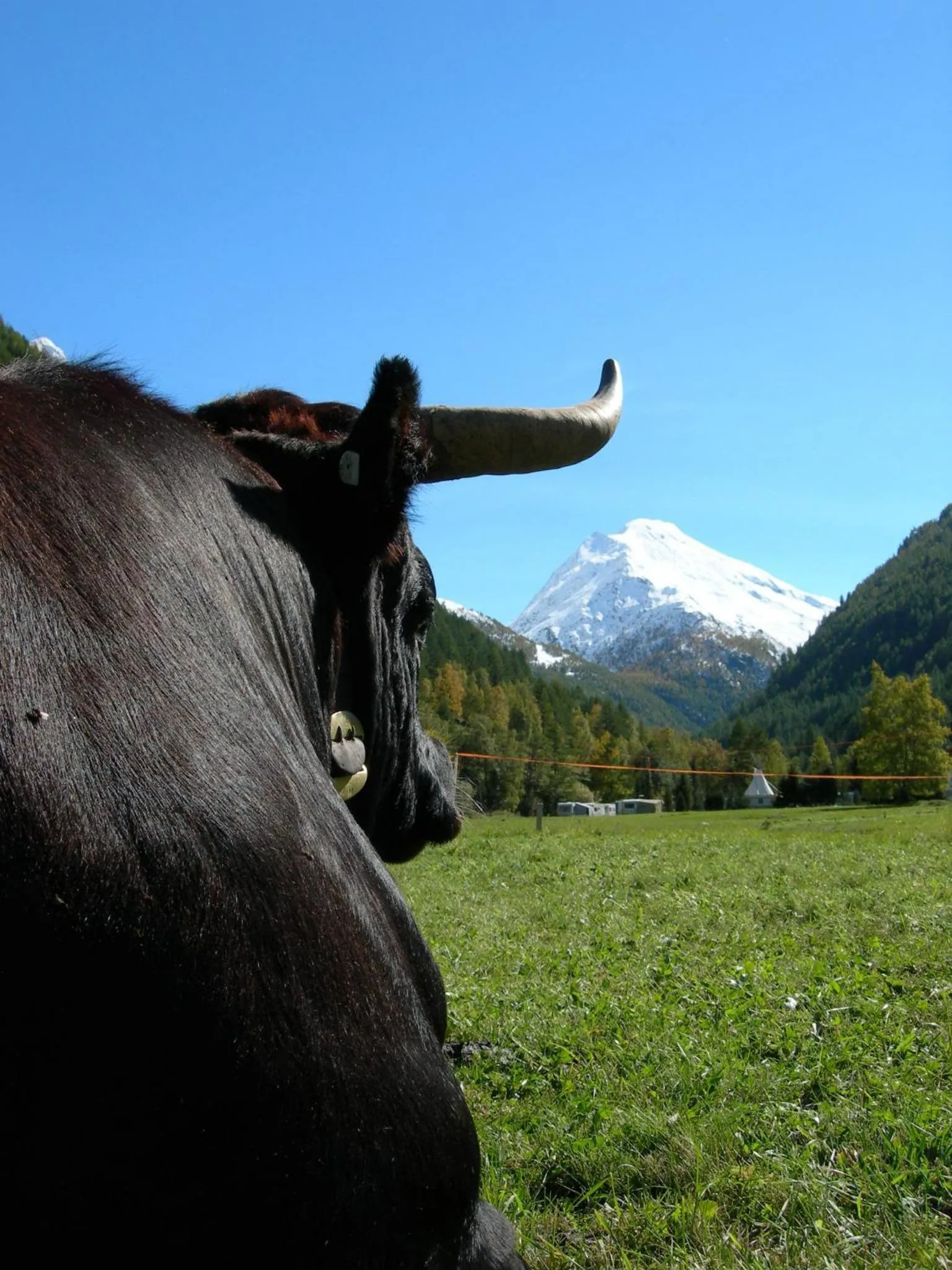 Other in Hotel Adler