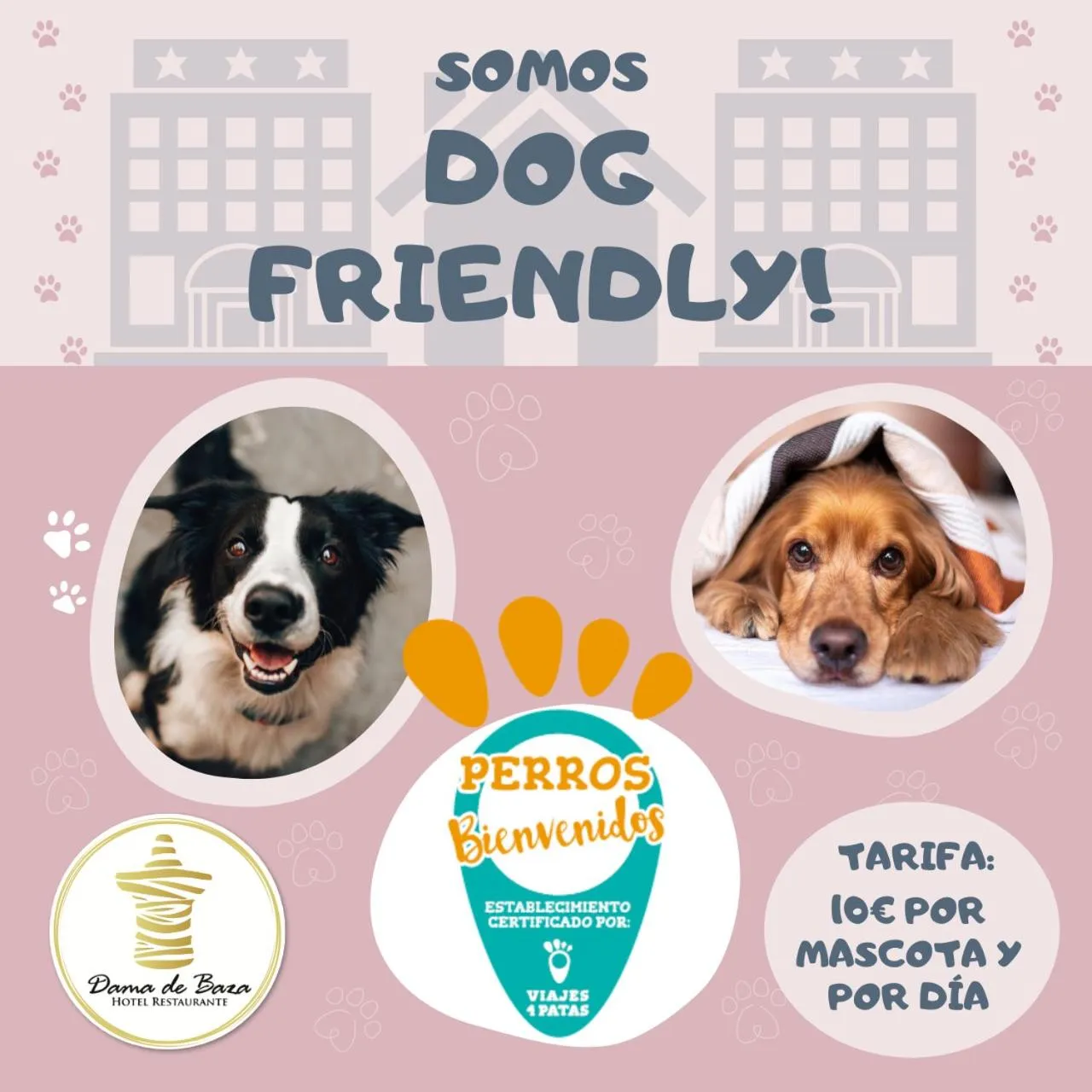 Animals in Hotel Restaurante Dama de Baza