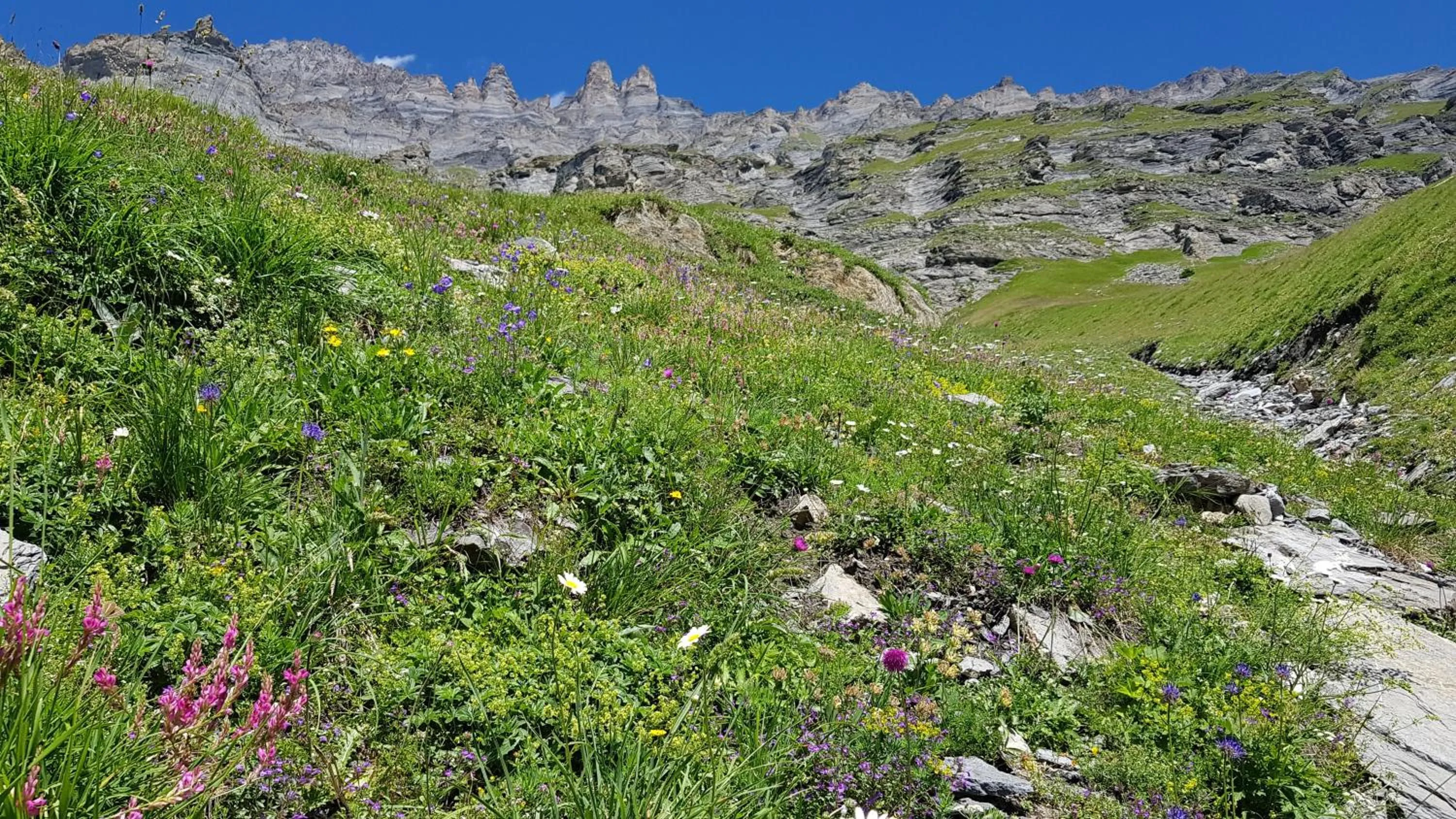 Natural landscape in Hotel Beau-Séjour