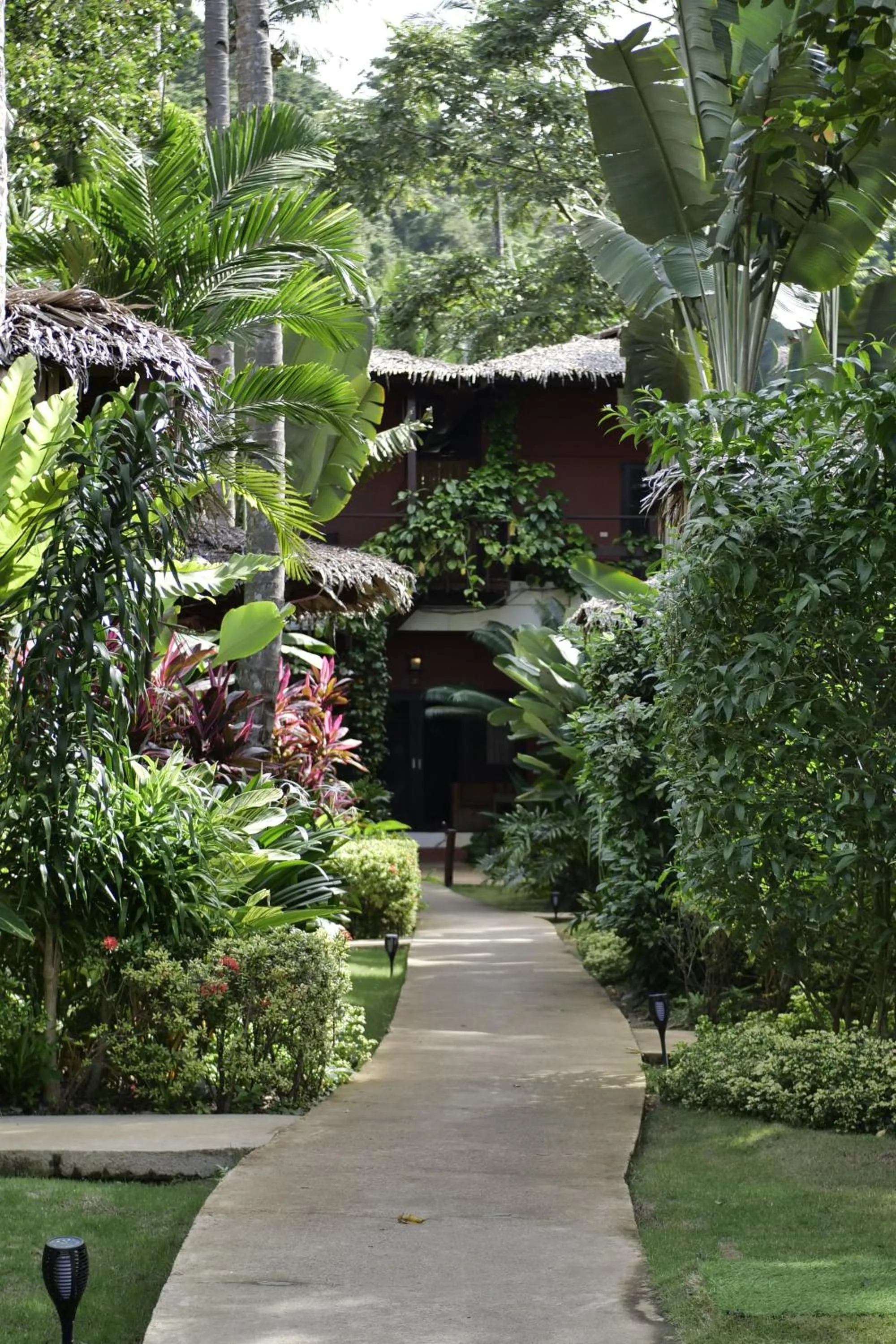 Natural landscape in Last Frontier Beach Resort - Adults Only