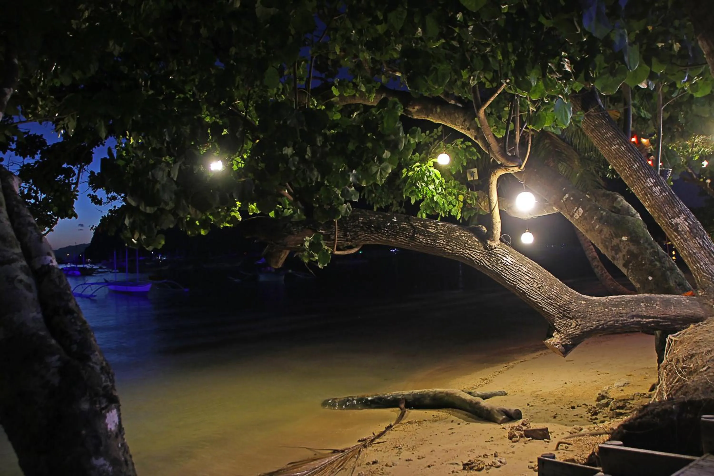 Garden in Last Frontier Beach Resort - Adults Only