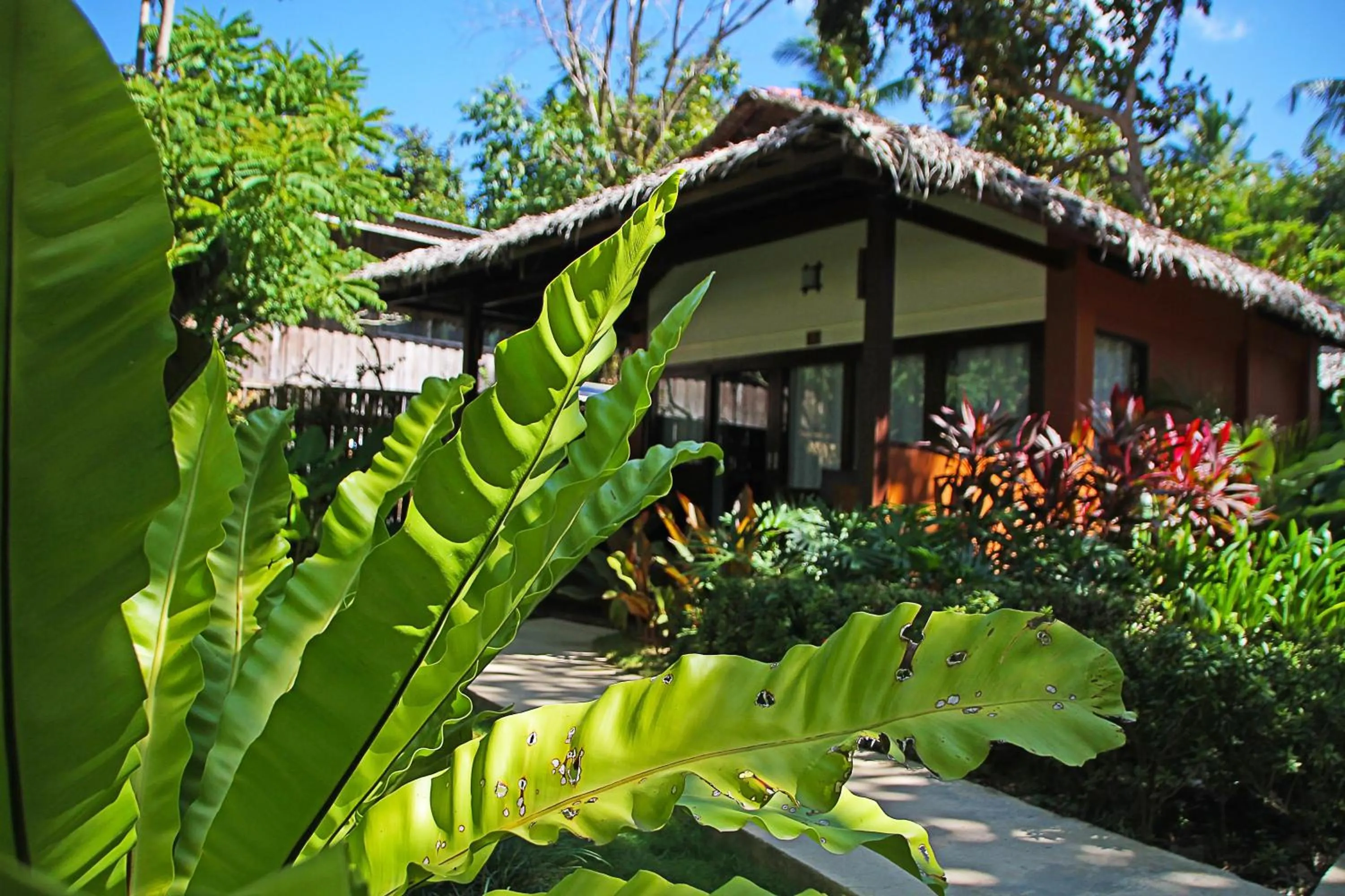 Garden in Last Frontier Beach Resort - Adults Only
