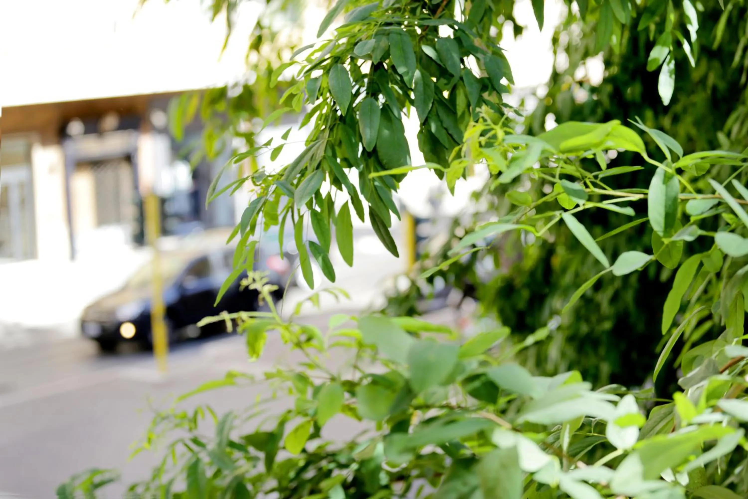Garden in Gateway Residence