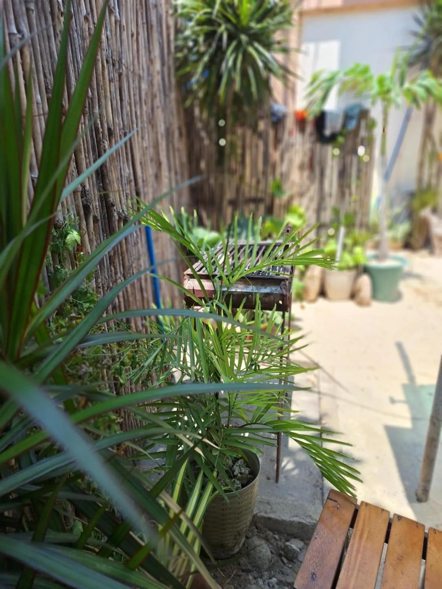 BBQ facilities in Pagudpud Rinnovati