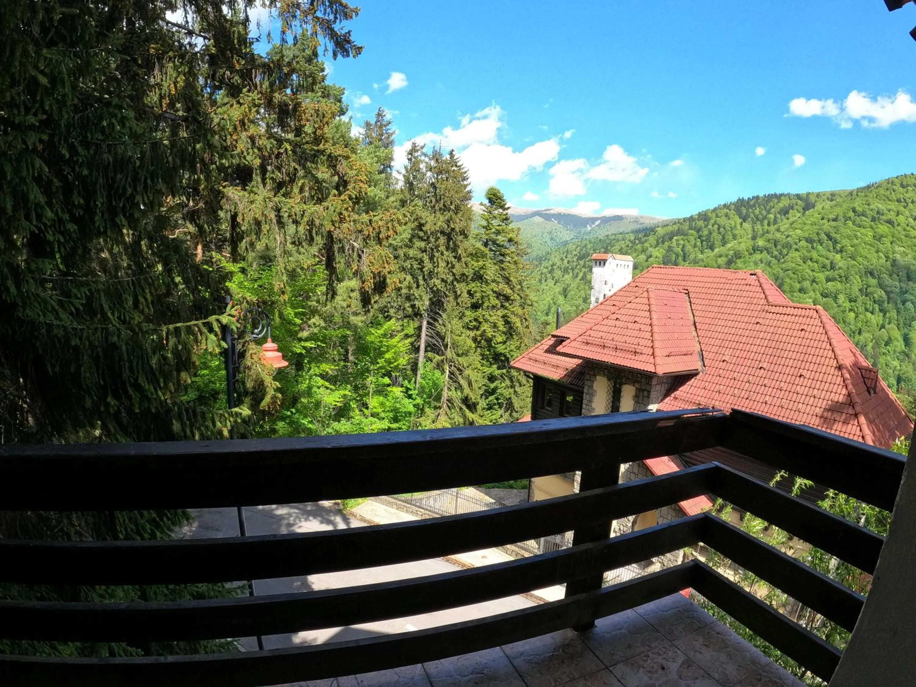 Natural landscape in Casa Adina