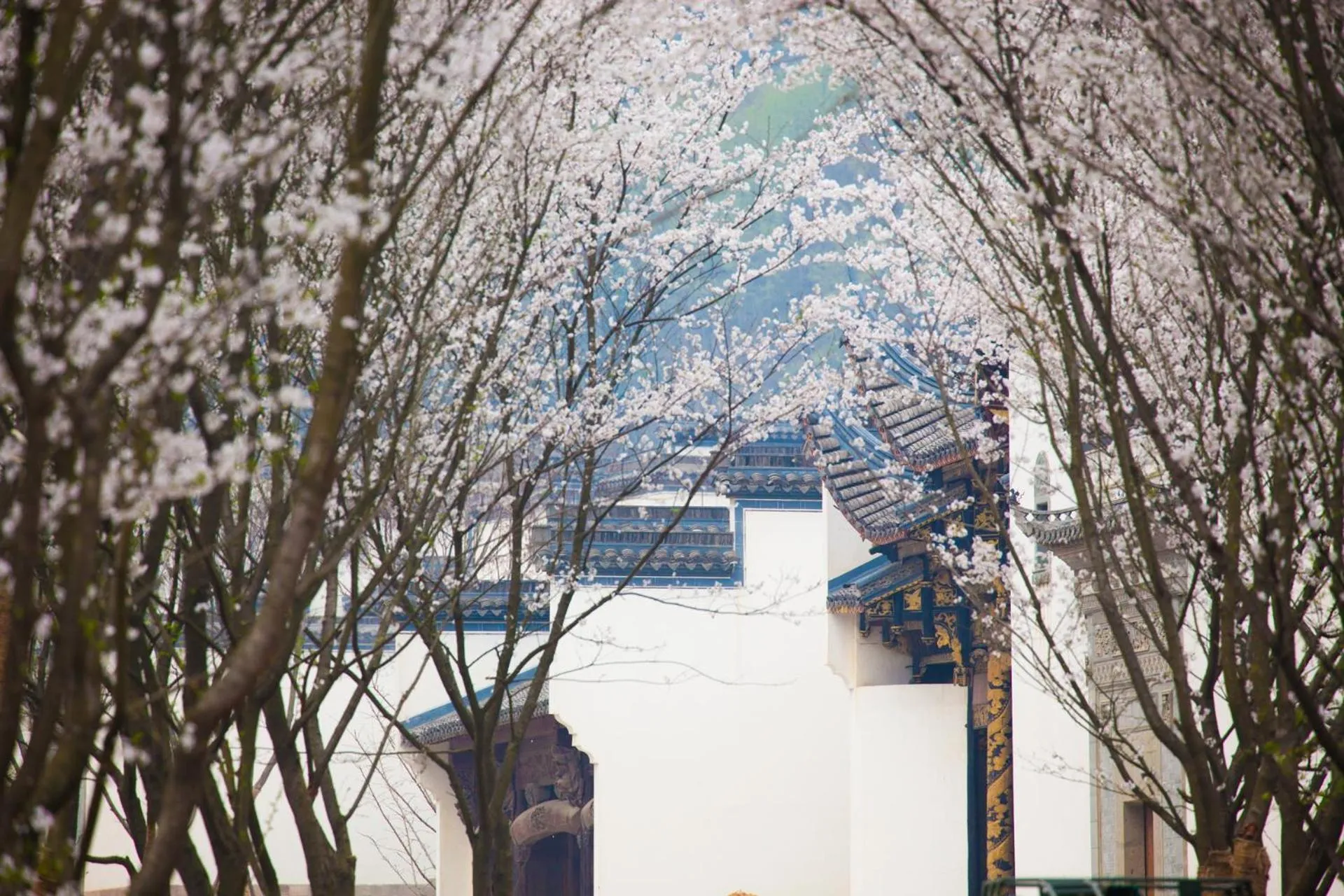 Natural landscape in Pusen Lanting Shaoxing