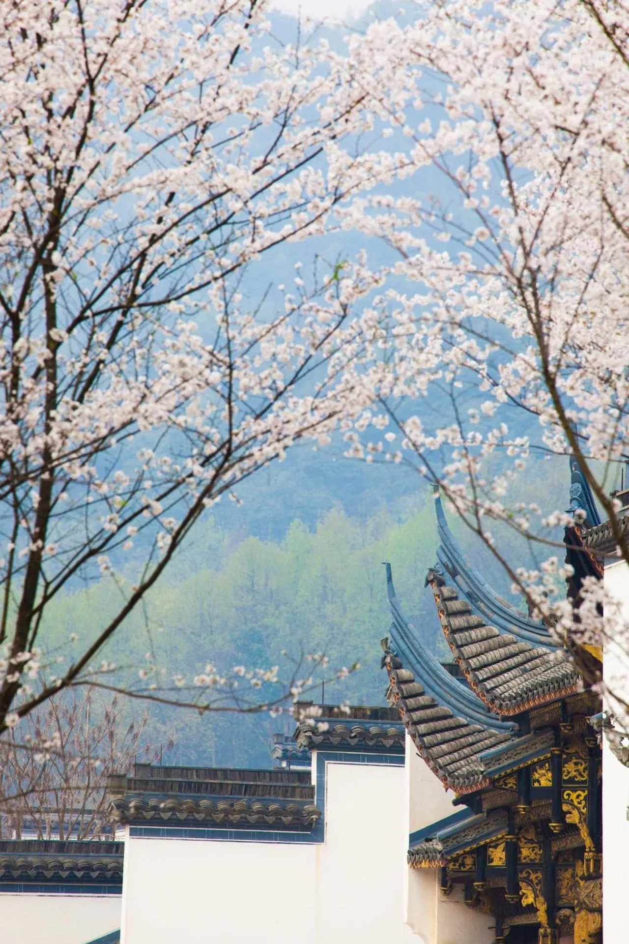 Spring in Pusen Lanting Shaoxing