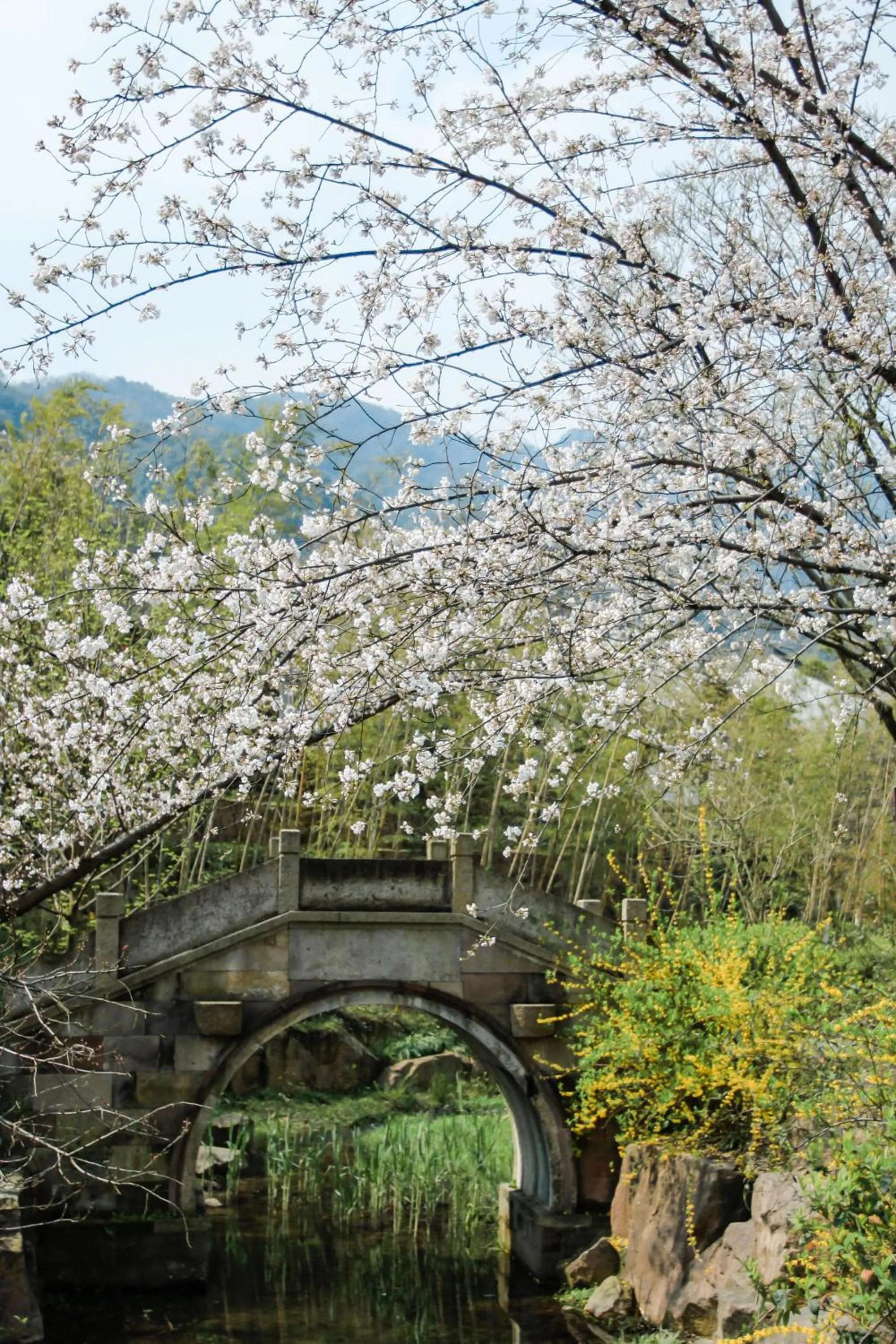 Spring in Pusen Lanting Shaoxing