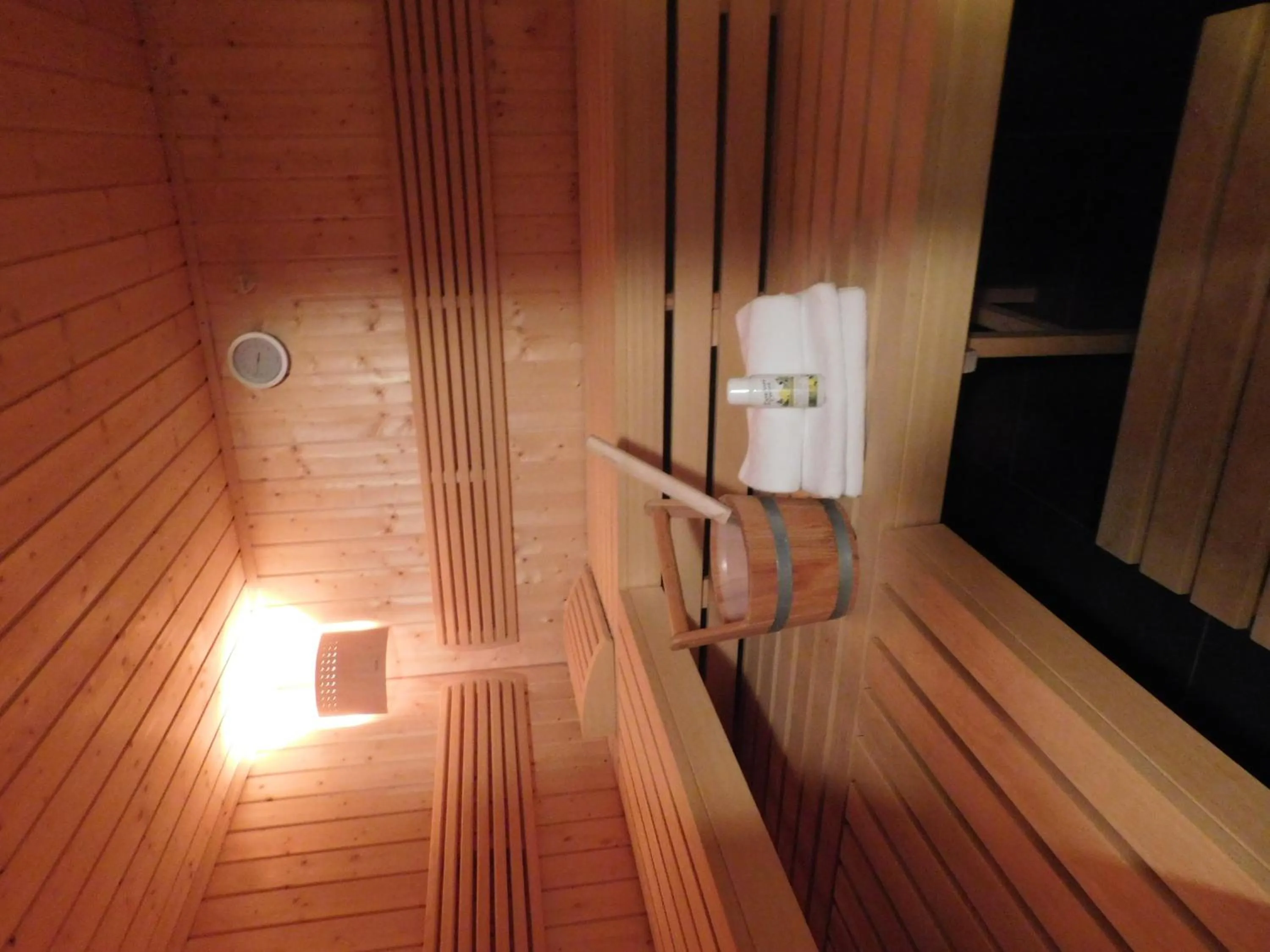 Sauna in Suite Hotel Villa Erika