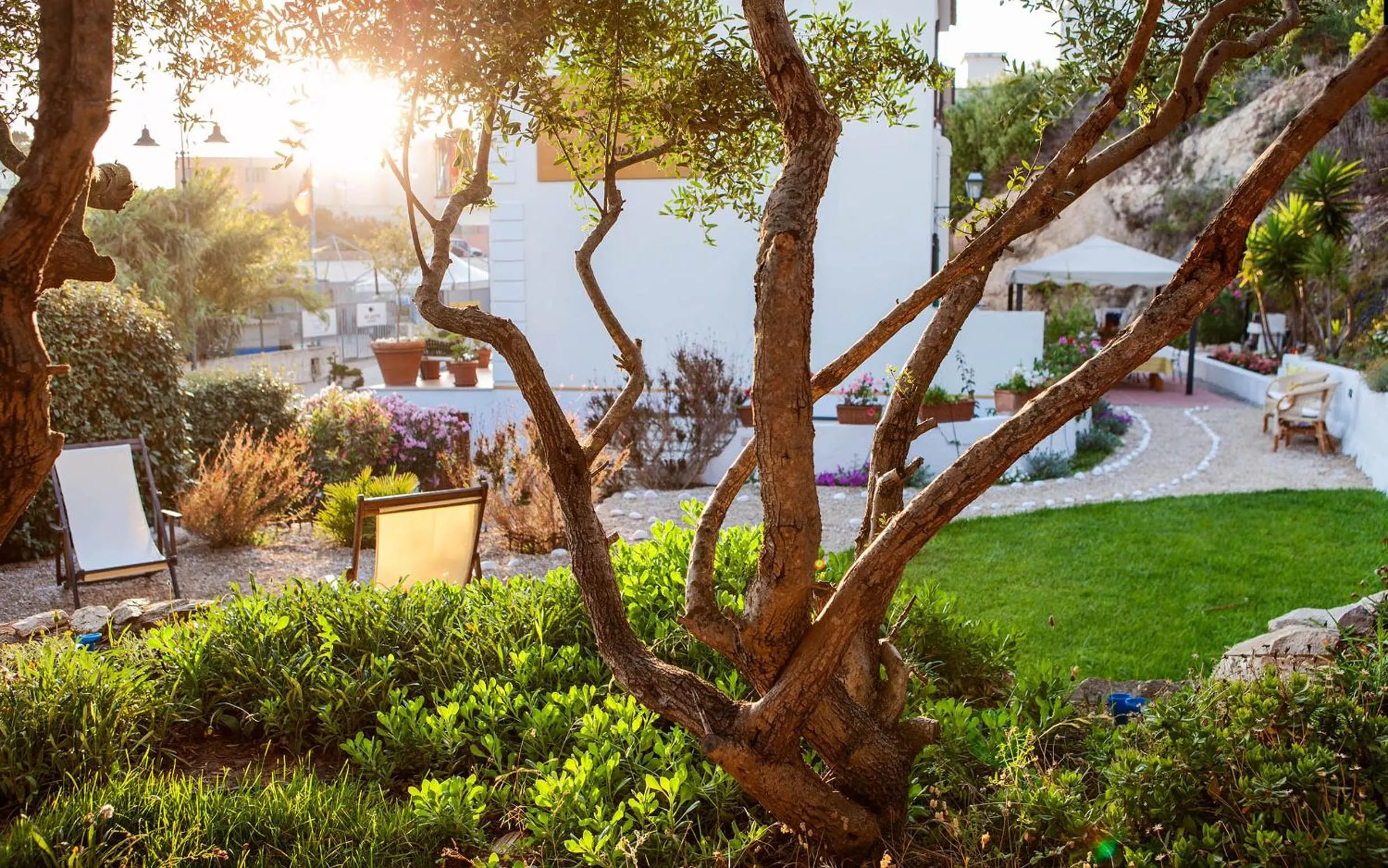 Garden in Casa Gallasso