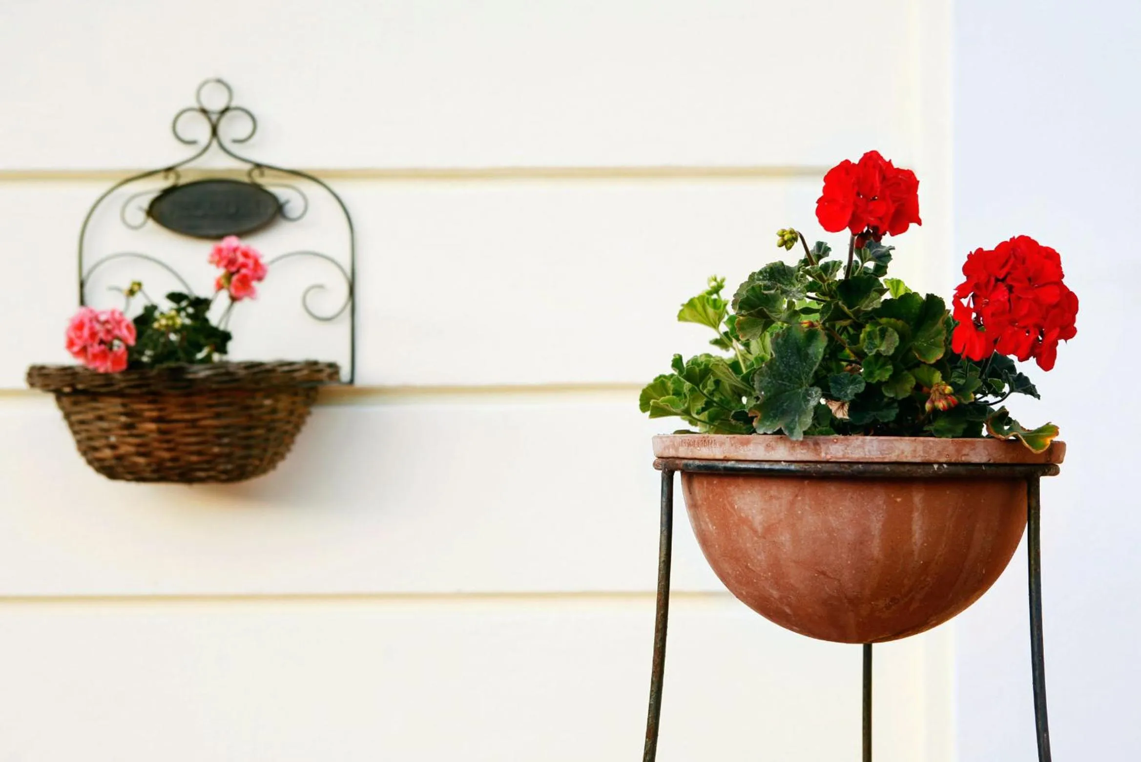 Property building in Casa Gallasso