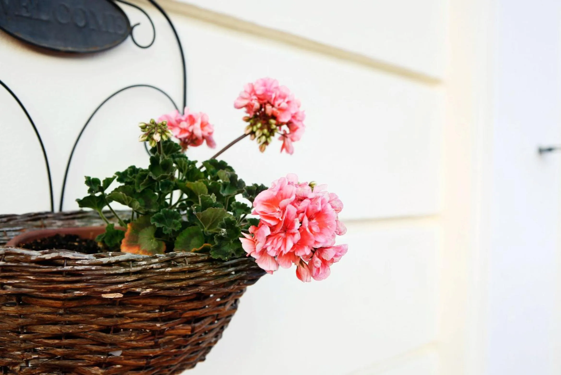 Property building in Casa Gallasso