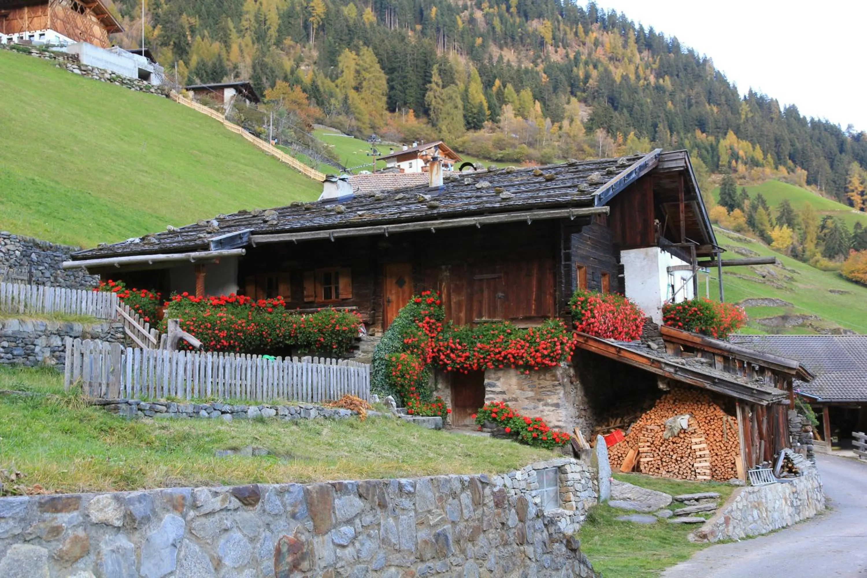 Natural landscape in Residence Sonnenburger - Biobauernhof - Azienda agricola biologica