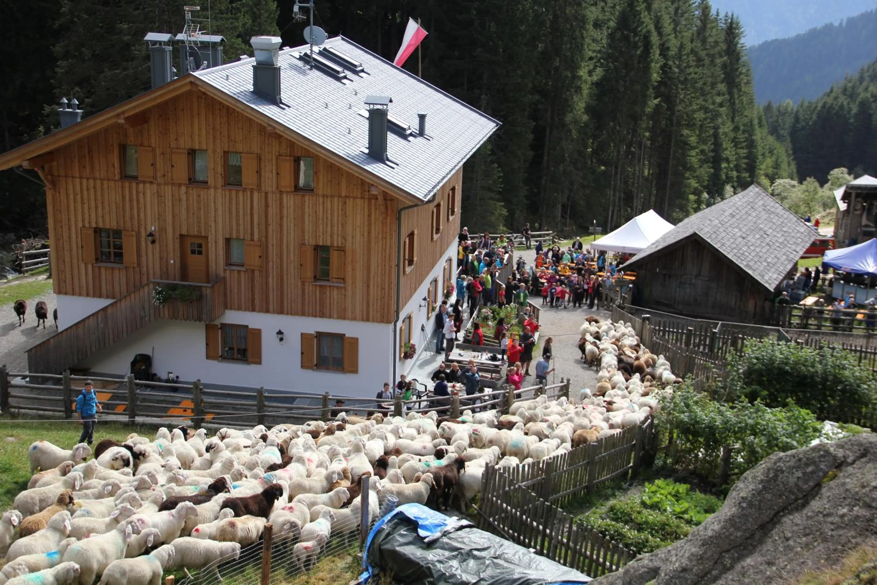 Natural landscape in Residence Sonnenburger - Biobauernhof - Azienda agricola biologica