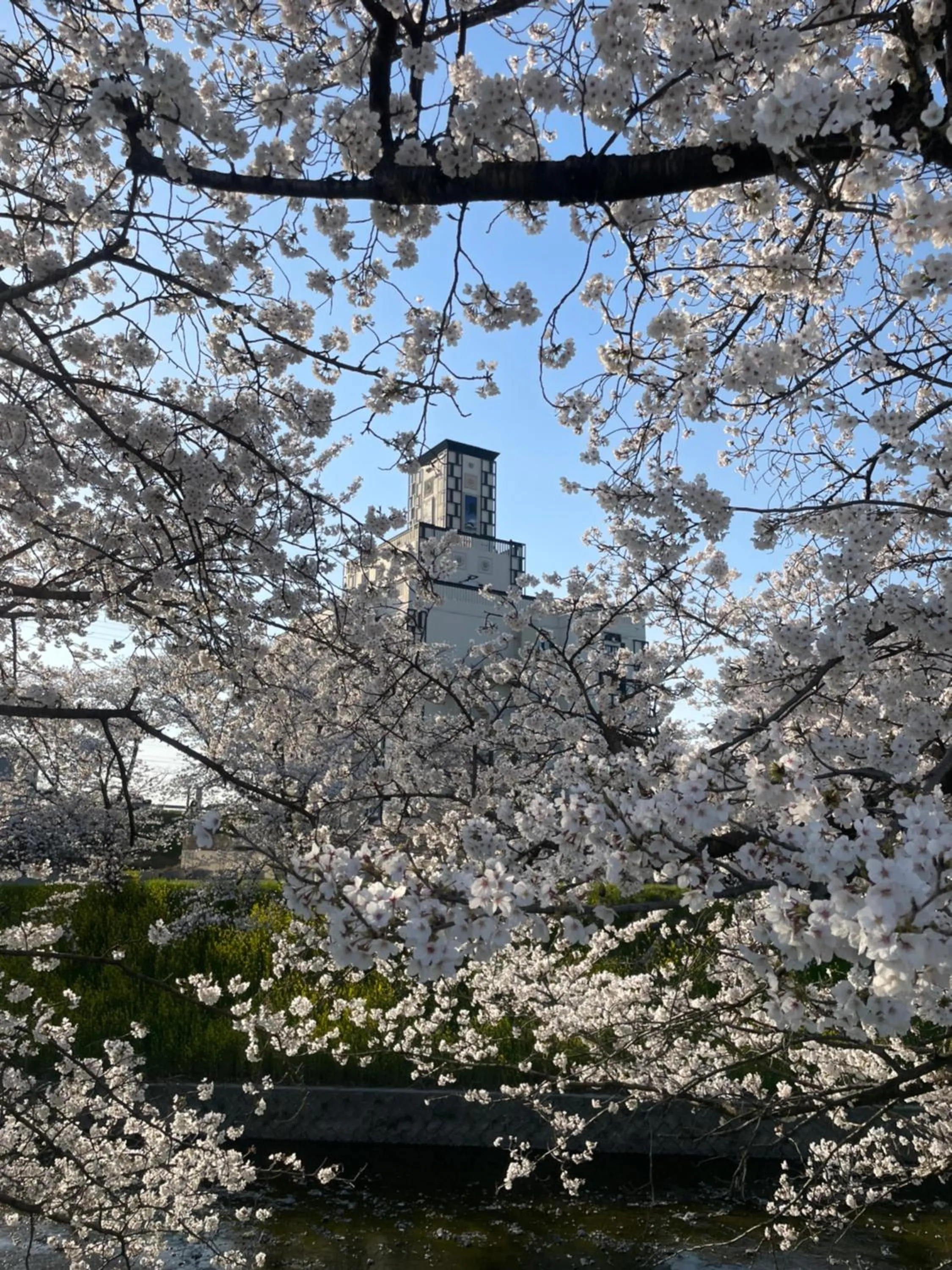 Spring in AURA Resort Nara (Adult Only)