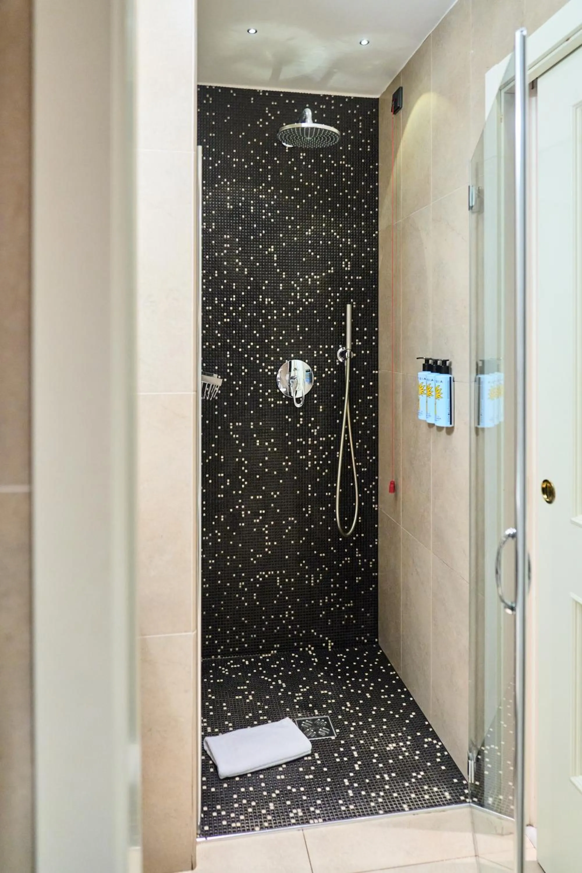 Shower in Parc Hotel Flora S