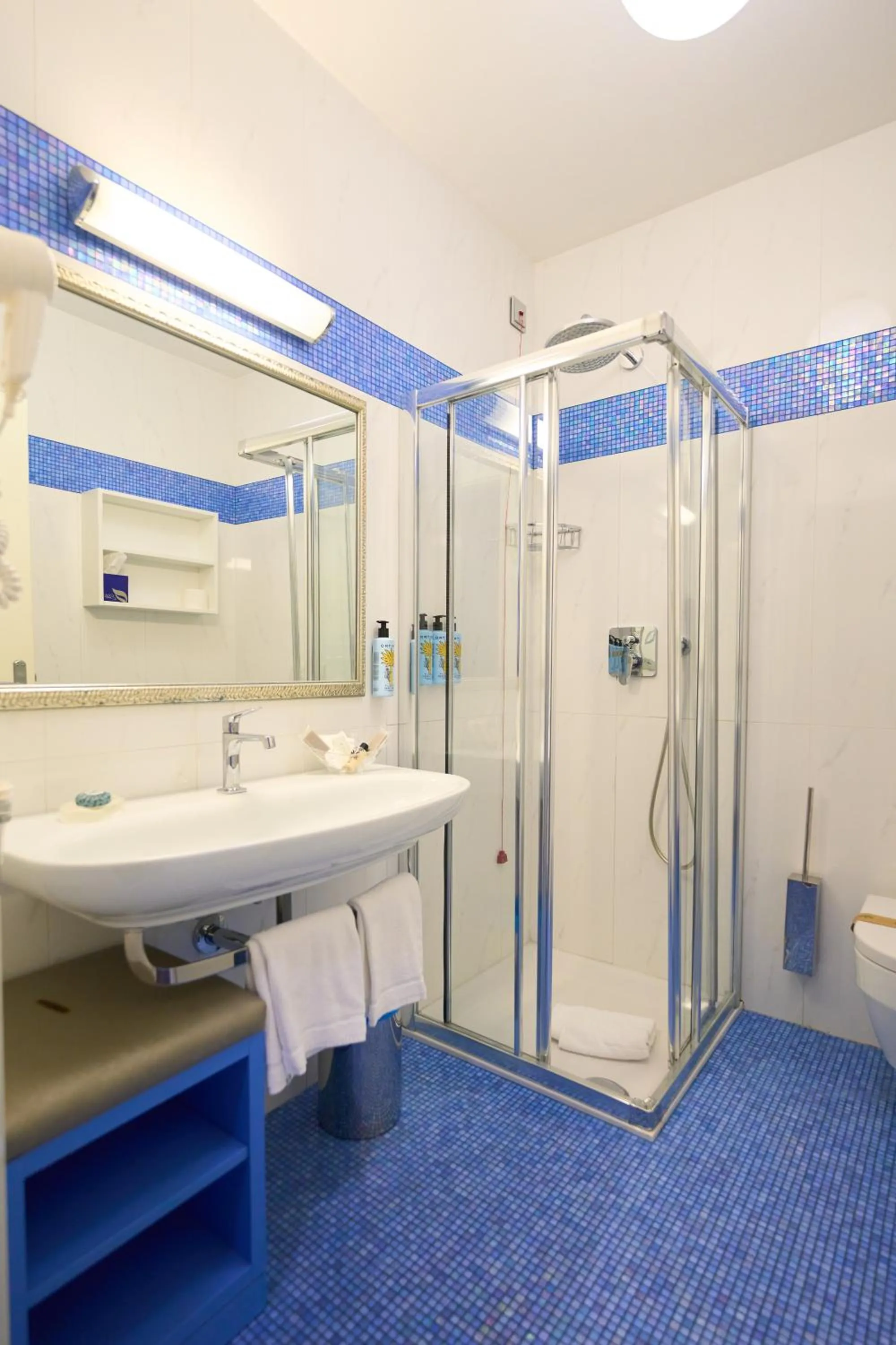 Shower in Parc Hotel Flora S