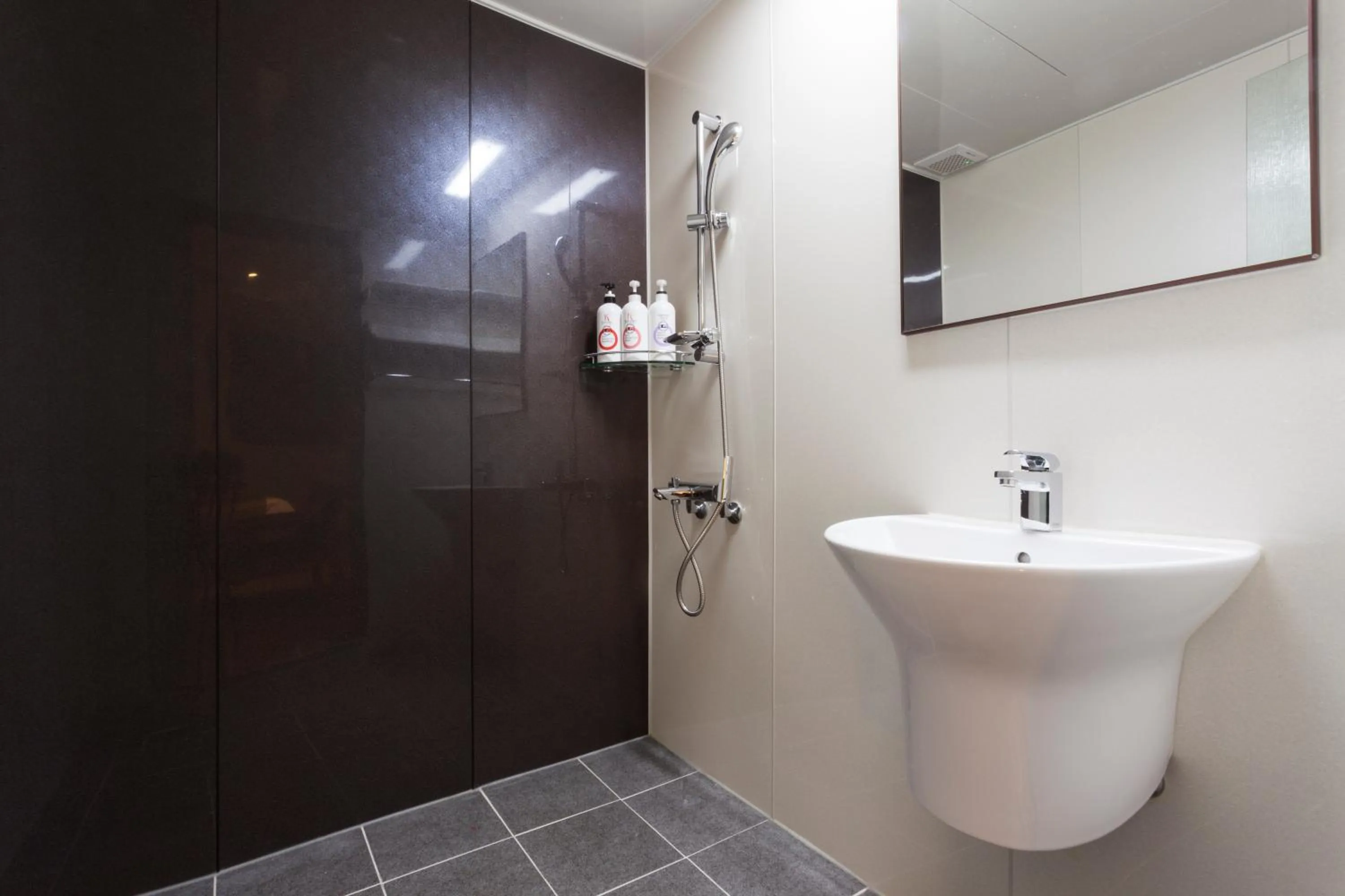 Shower in Hotel Leaders