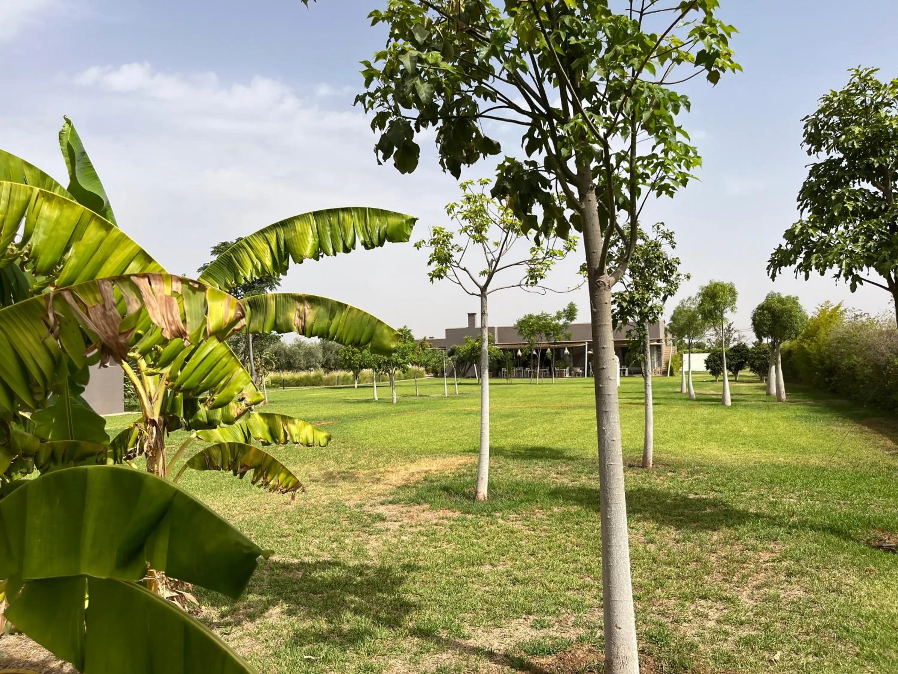 Natural landscape in Villa Jardins D'Isa