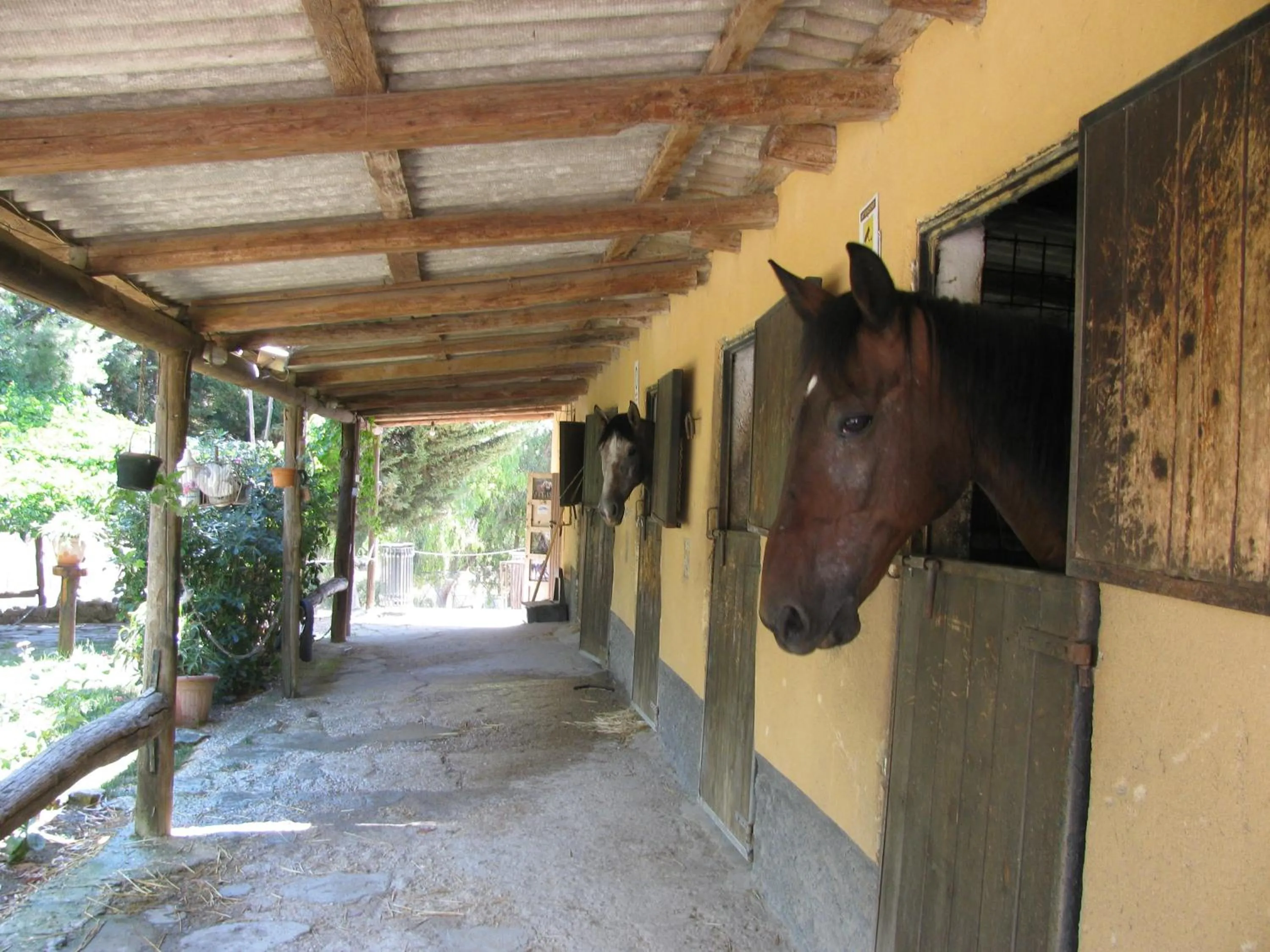 Animals in B&B Macalube Aragona