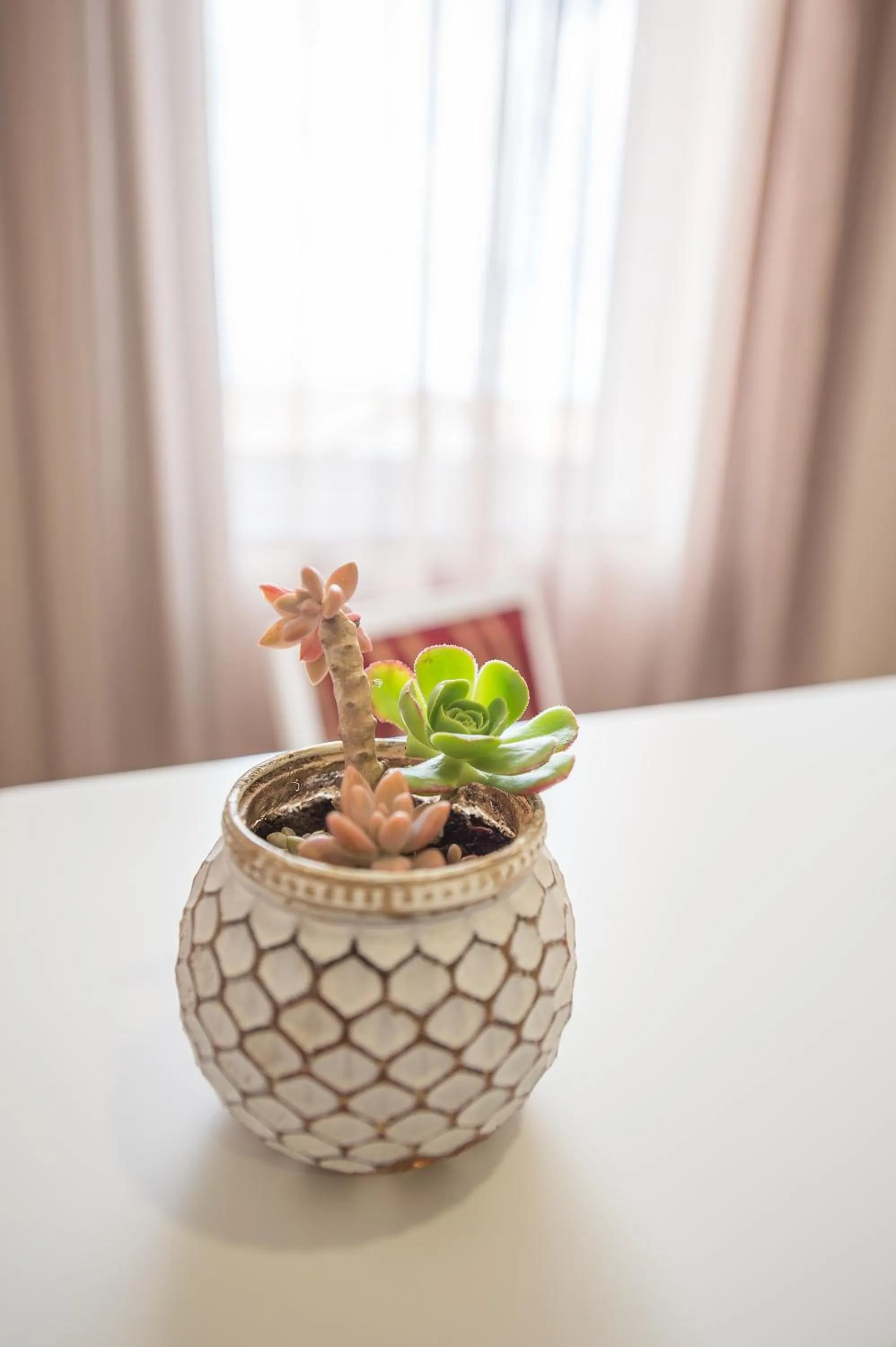 Decorative detail in Horta Garden