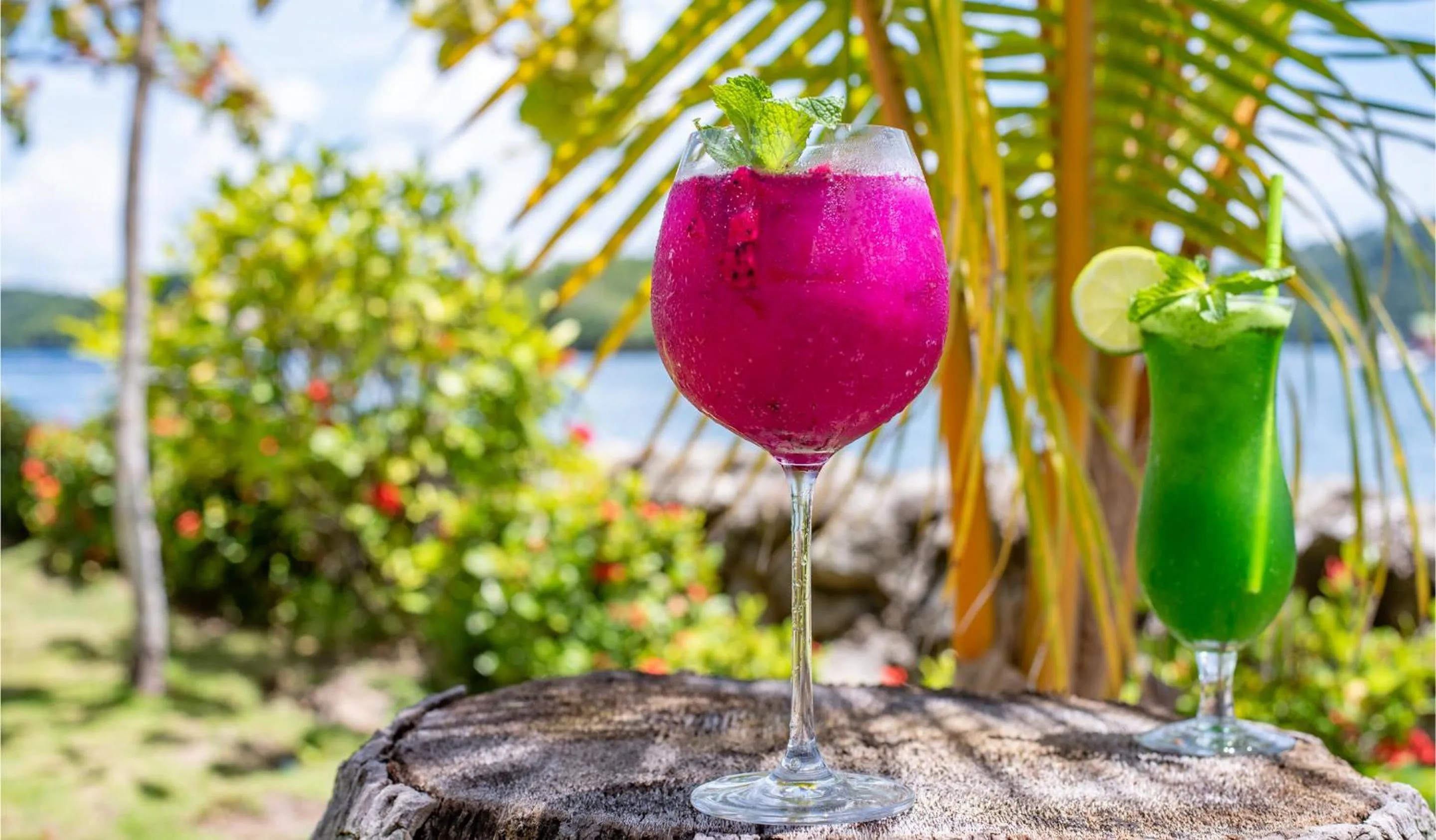 Food and drinks in Isla Chiquita Glamping Hotel