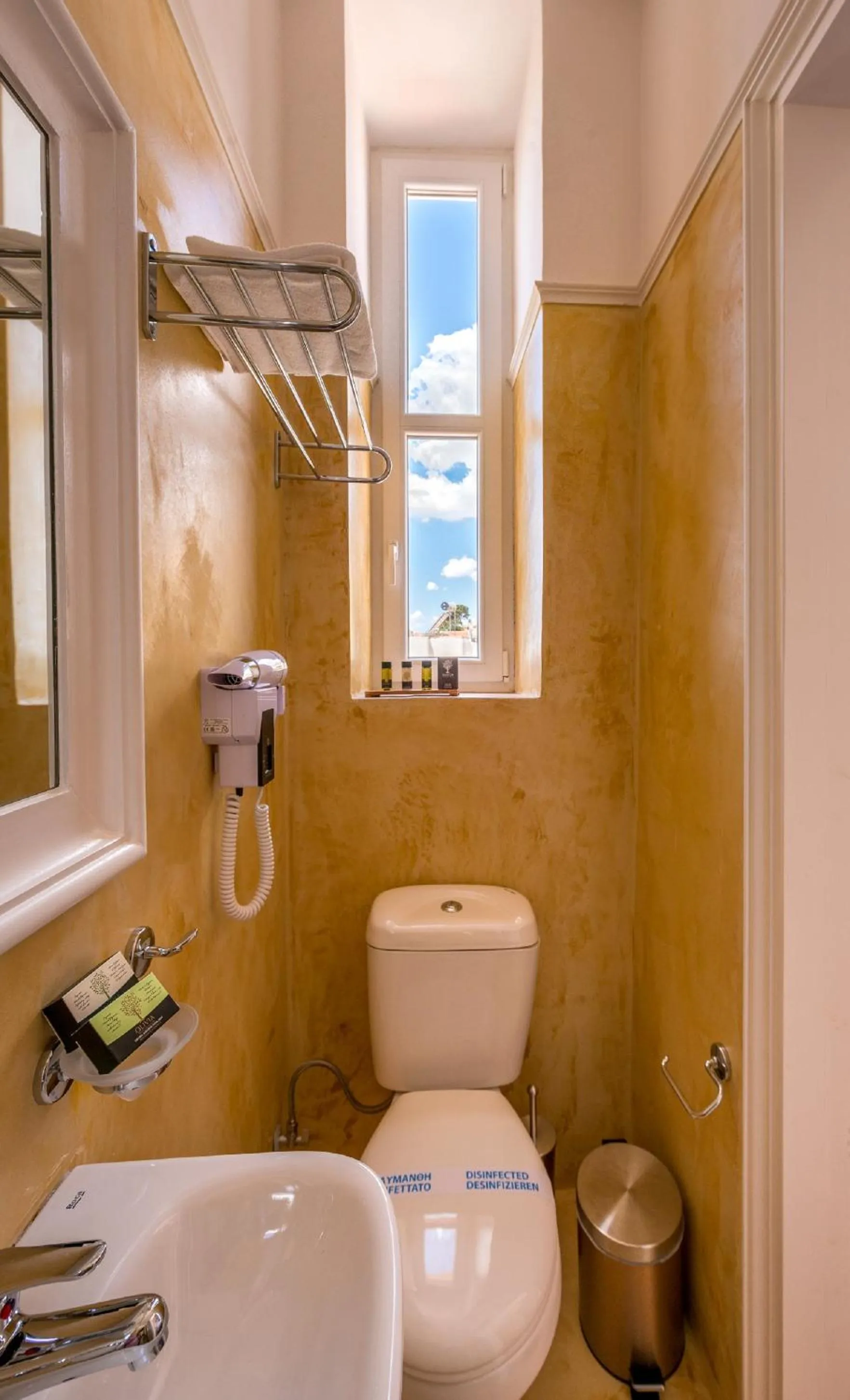 Toilet in Palladian Home