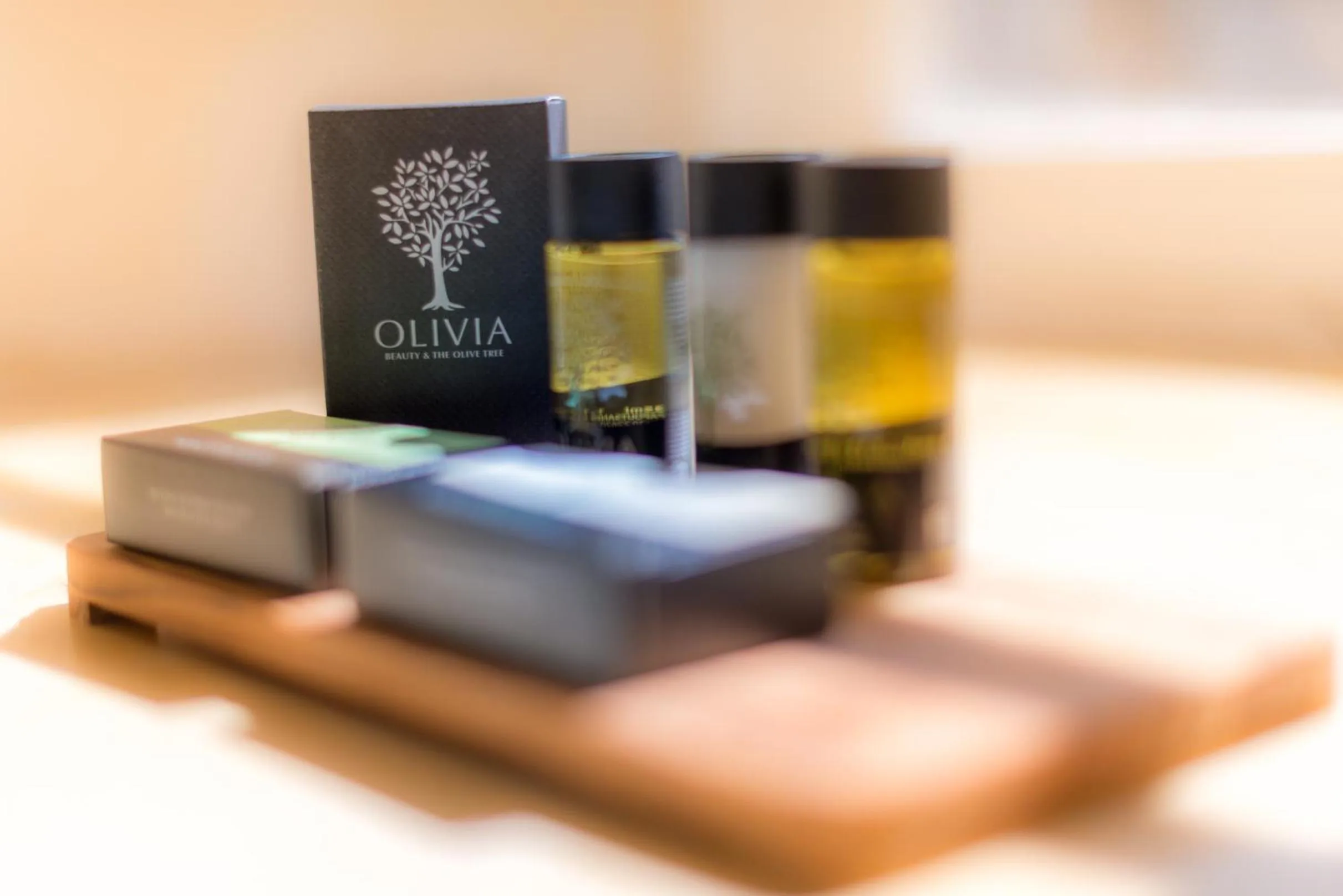 Area and facilities in Palladian Home