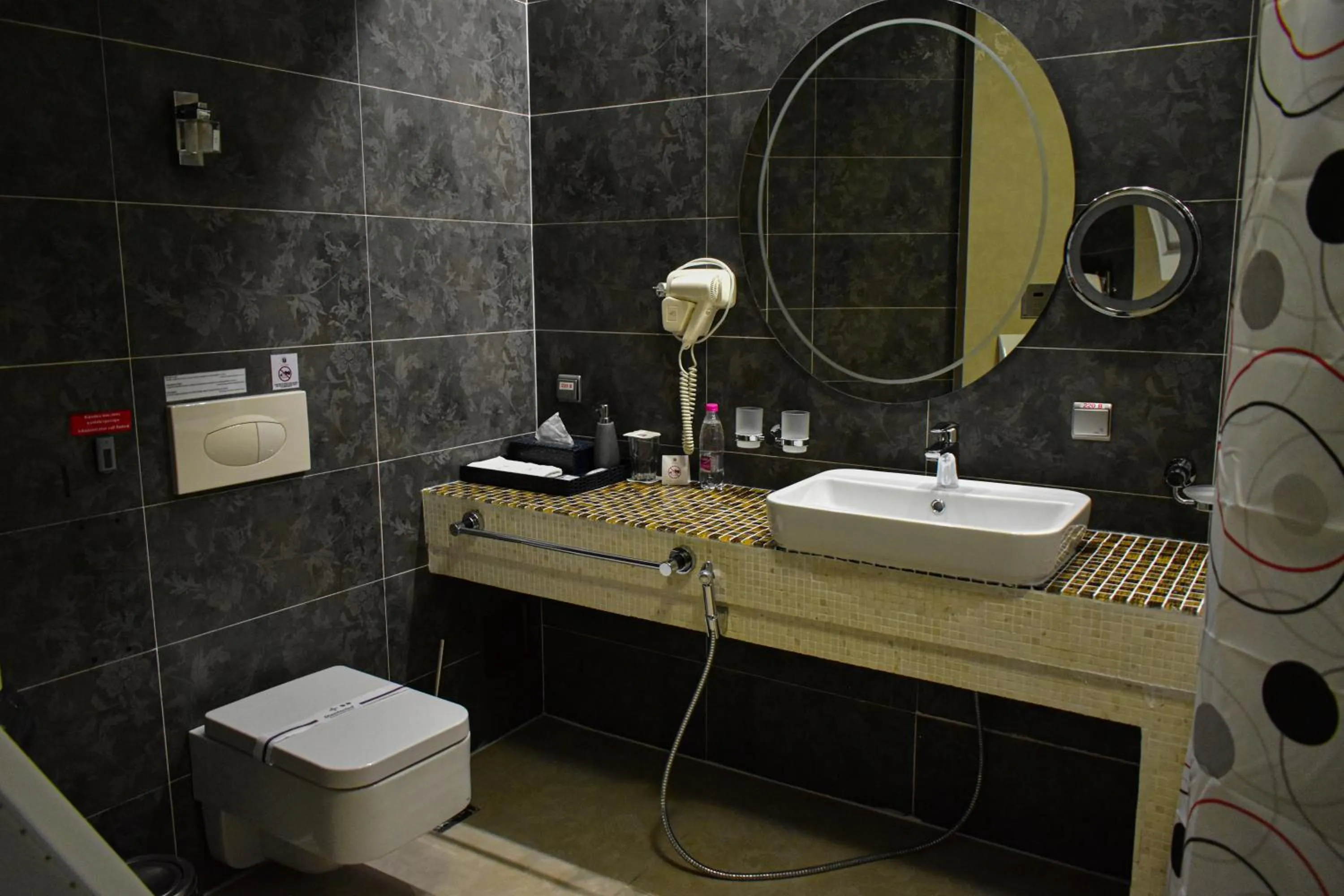 Facility for disabled guests in Hotel Feride