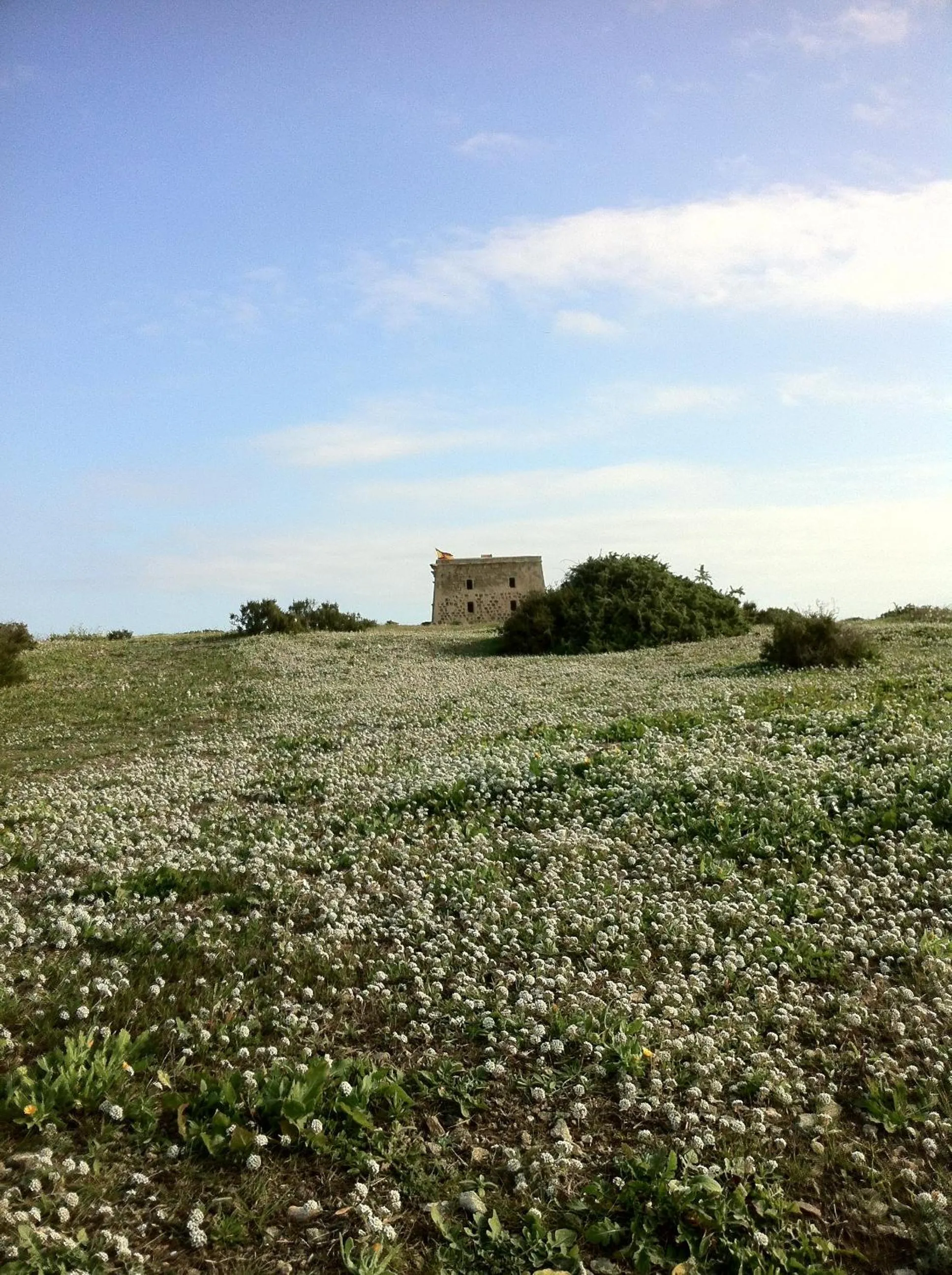 Area and facilities in Boutique Isla Tabarca