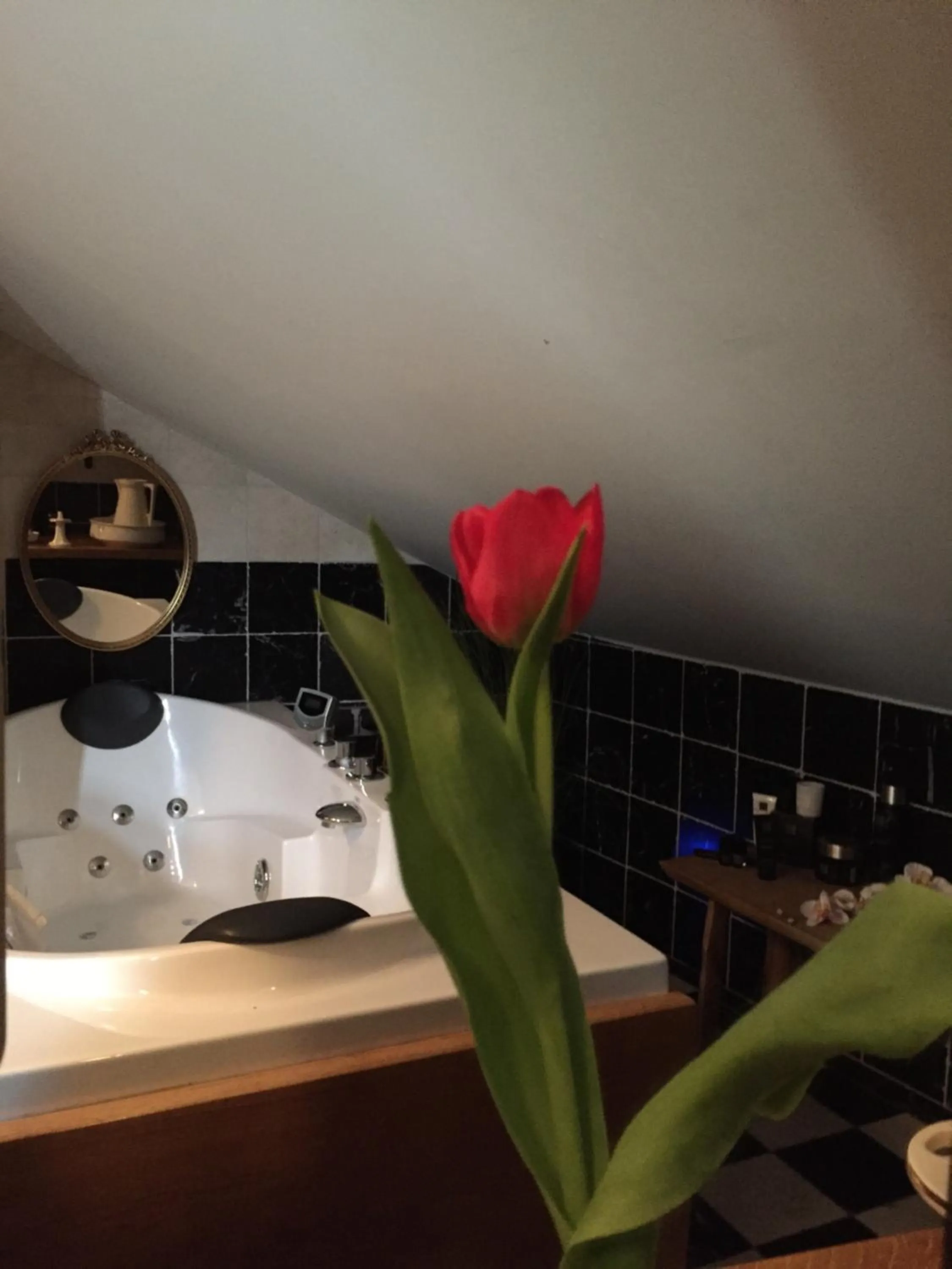 Bathroom in Artagnan