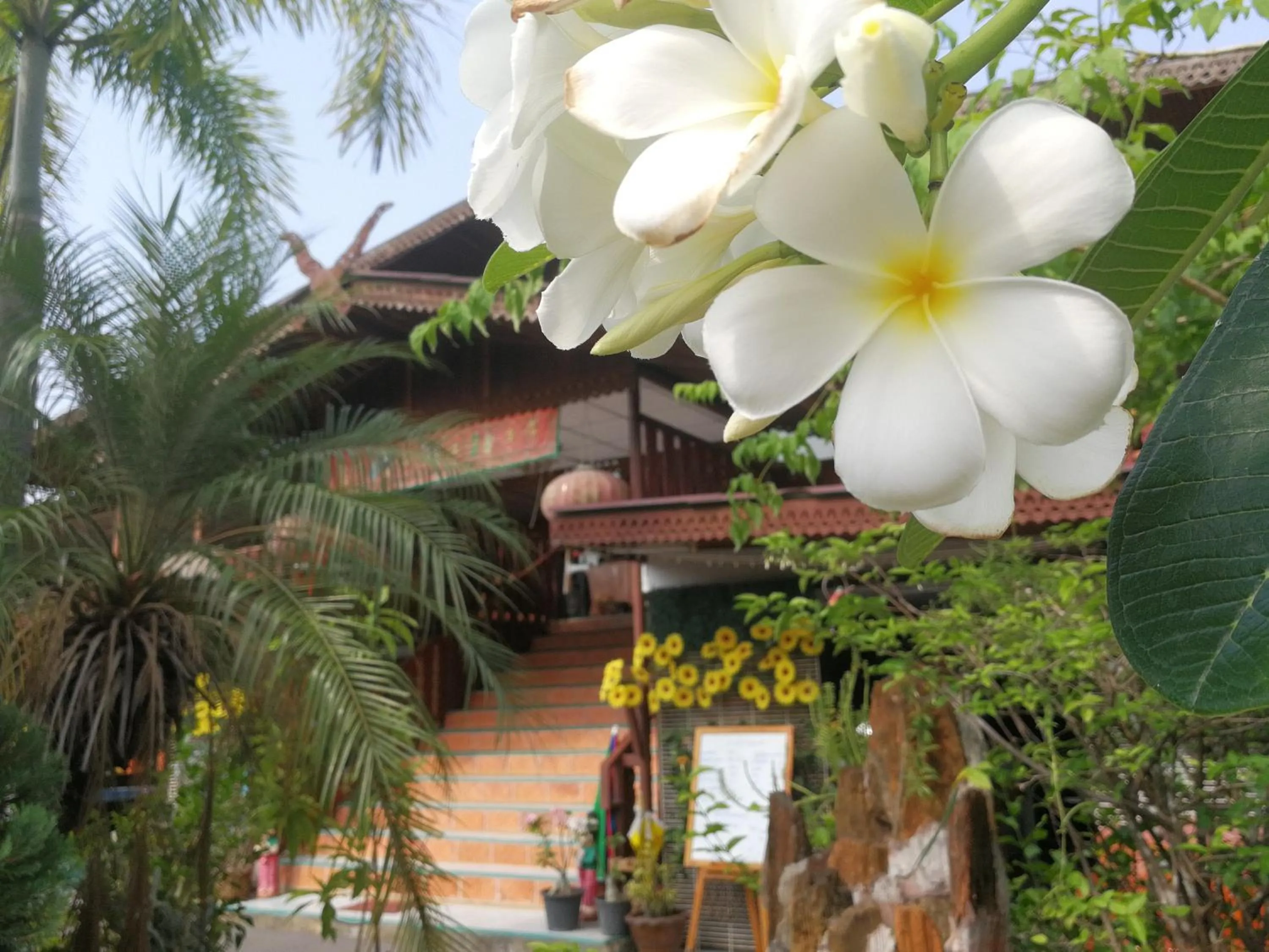 Street view in PuengLuang Hotel
