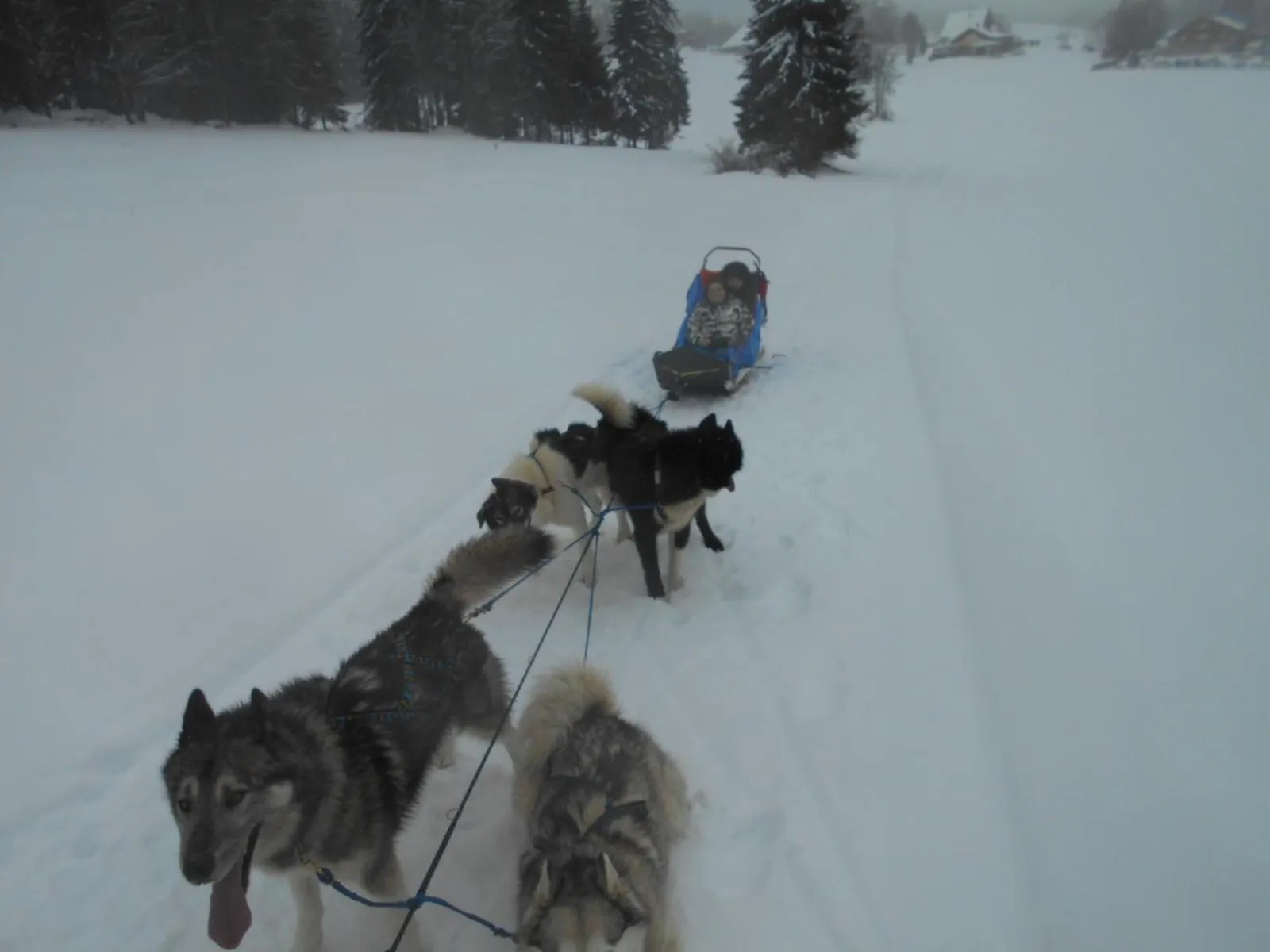 Winter in Au Charnet