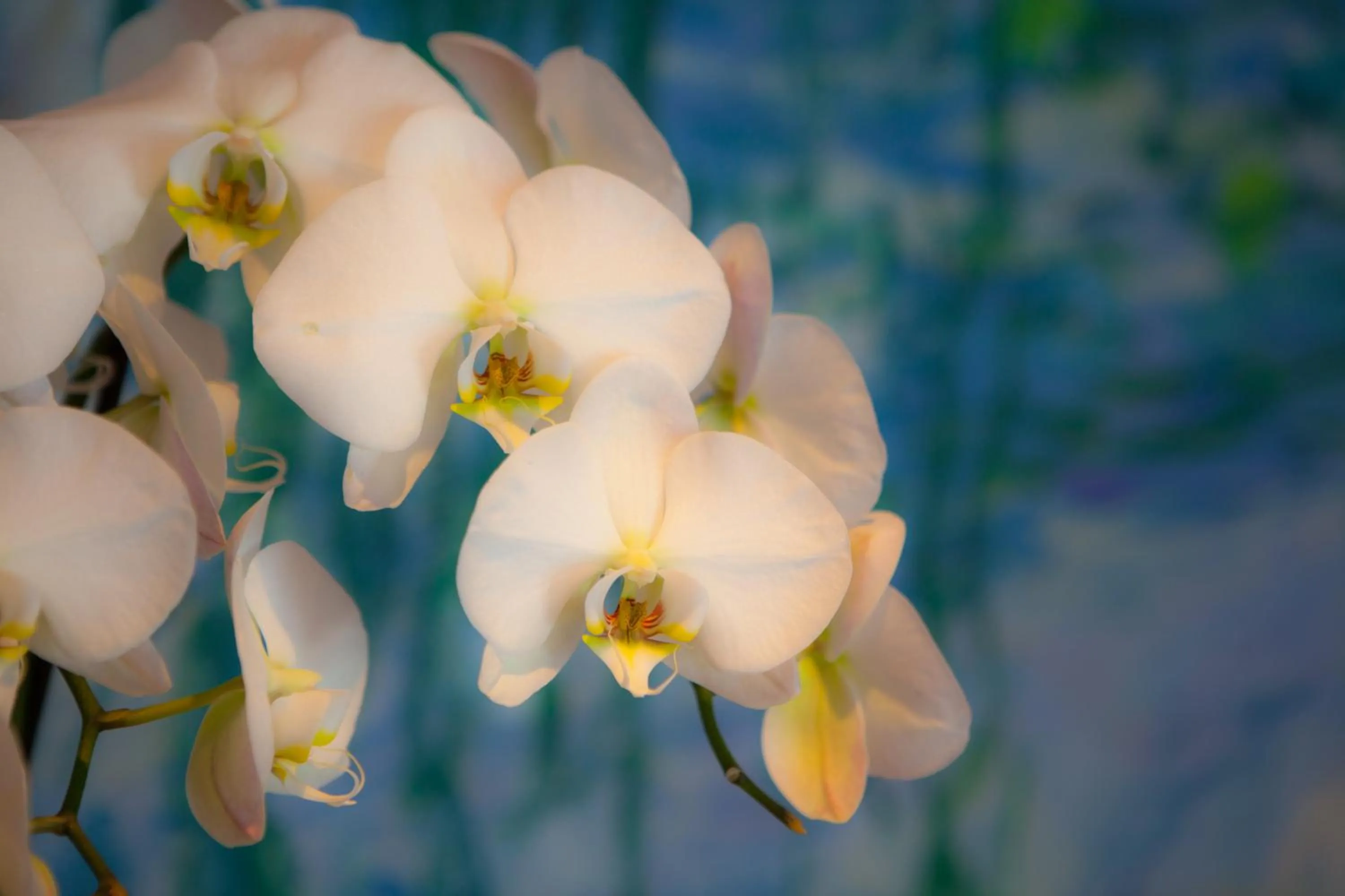 Decorative detail in Hotel Montané