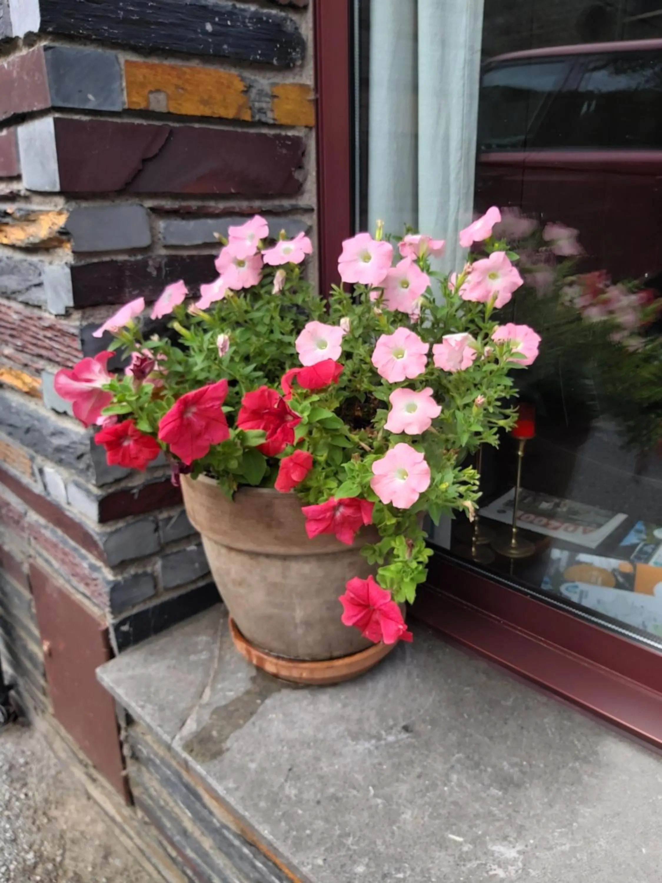 Facade/entrance in Hotel Montané