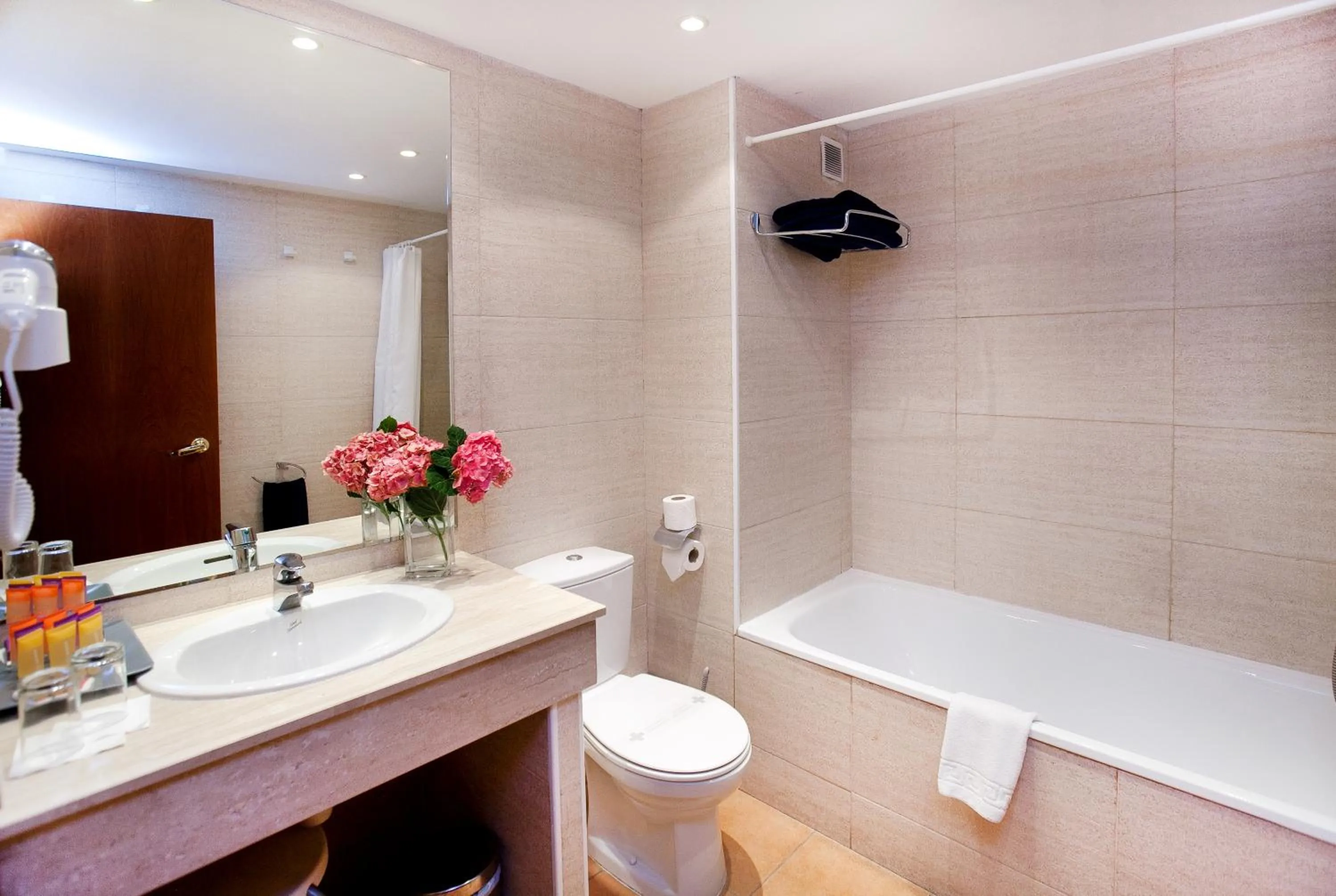 Bathroom in Hotel Montané