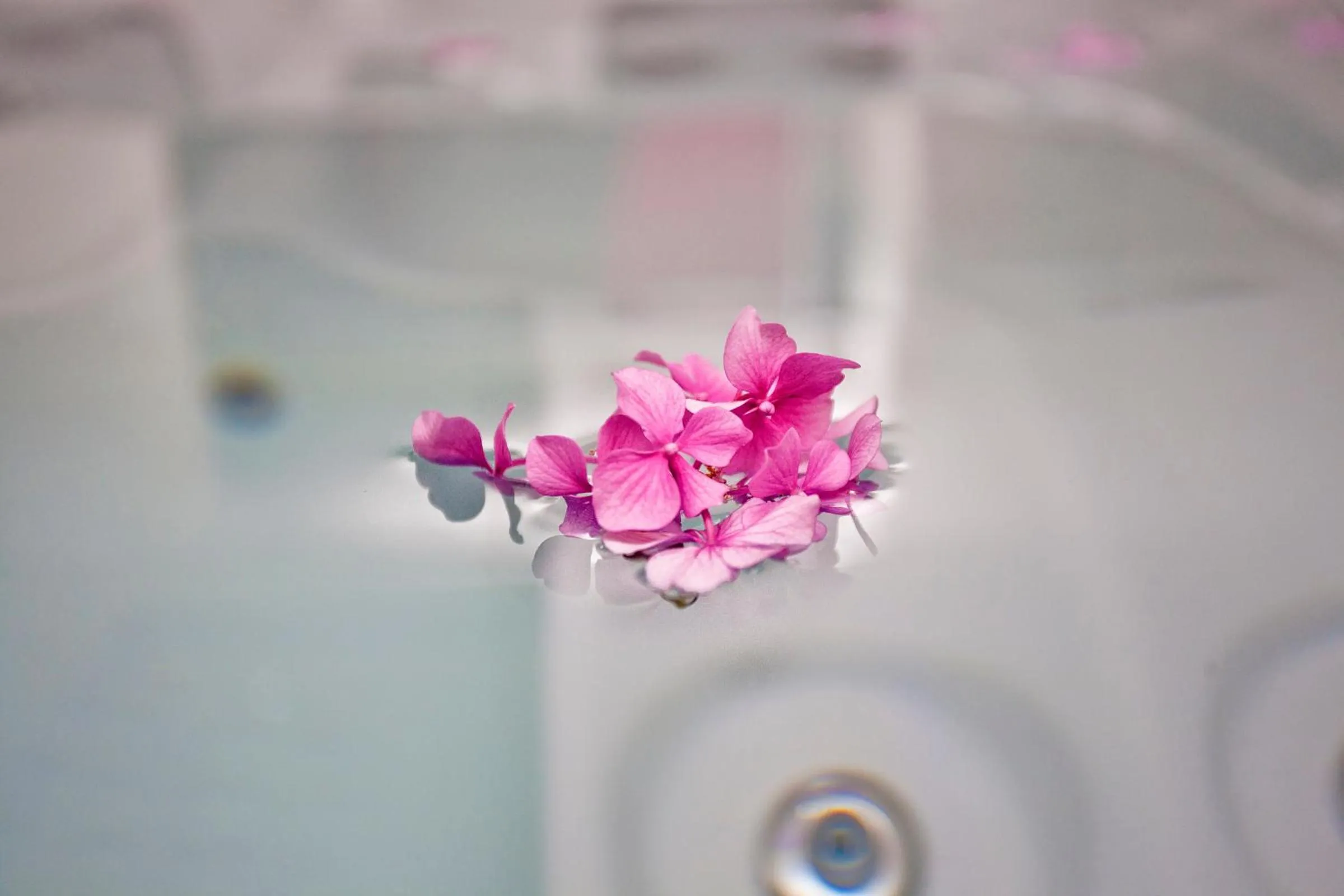 Spa and wellness centre/facilities in Wellness & Spa Hotel ACD