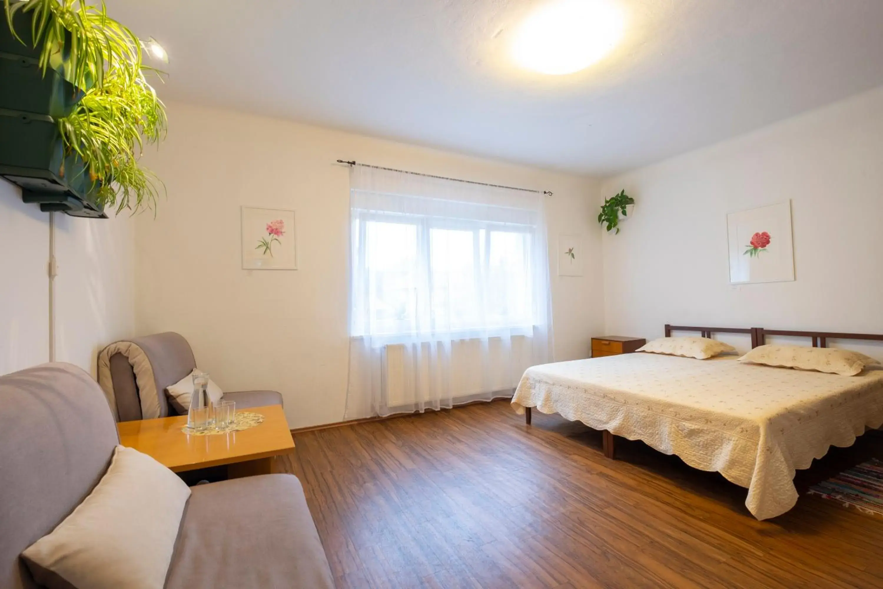 Quadruple Room with Shared Bathroom in Family Guesthouse GreenSLO Quadruple Room with Shared Bathroom in Family Guesthouse GreenSLO