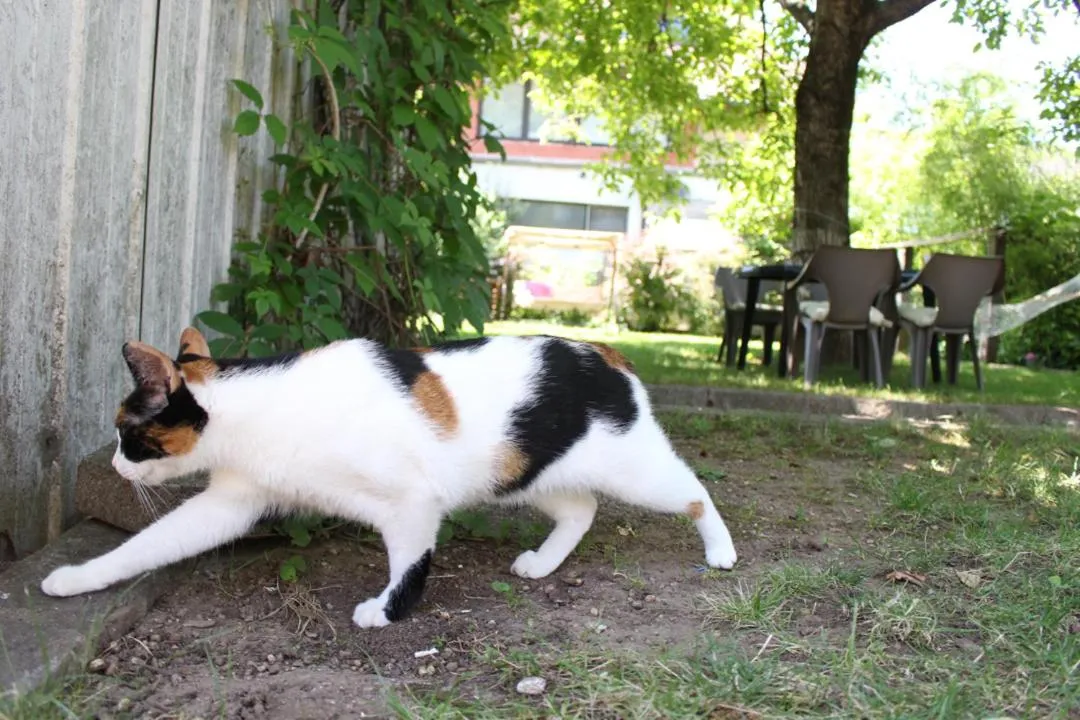 Family Guesthouse GreenSLO